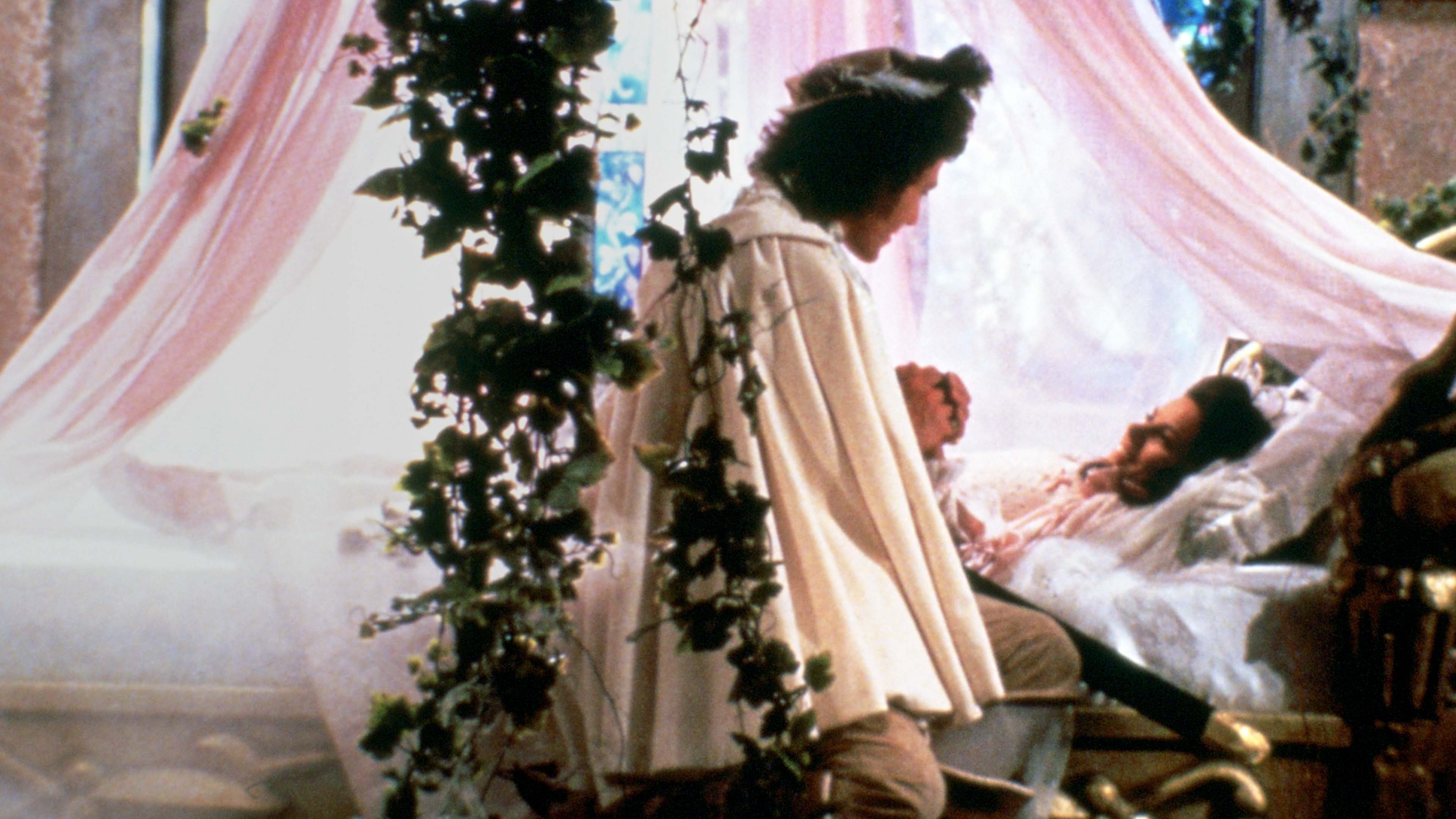 Backdrop for Sleeping Beauty