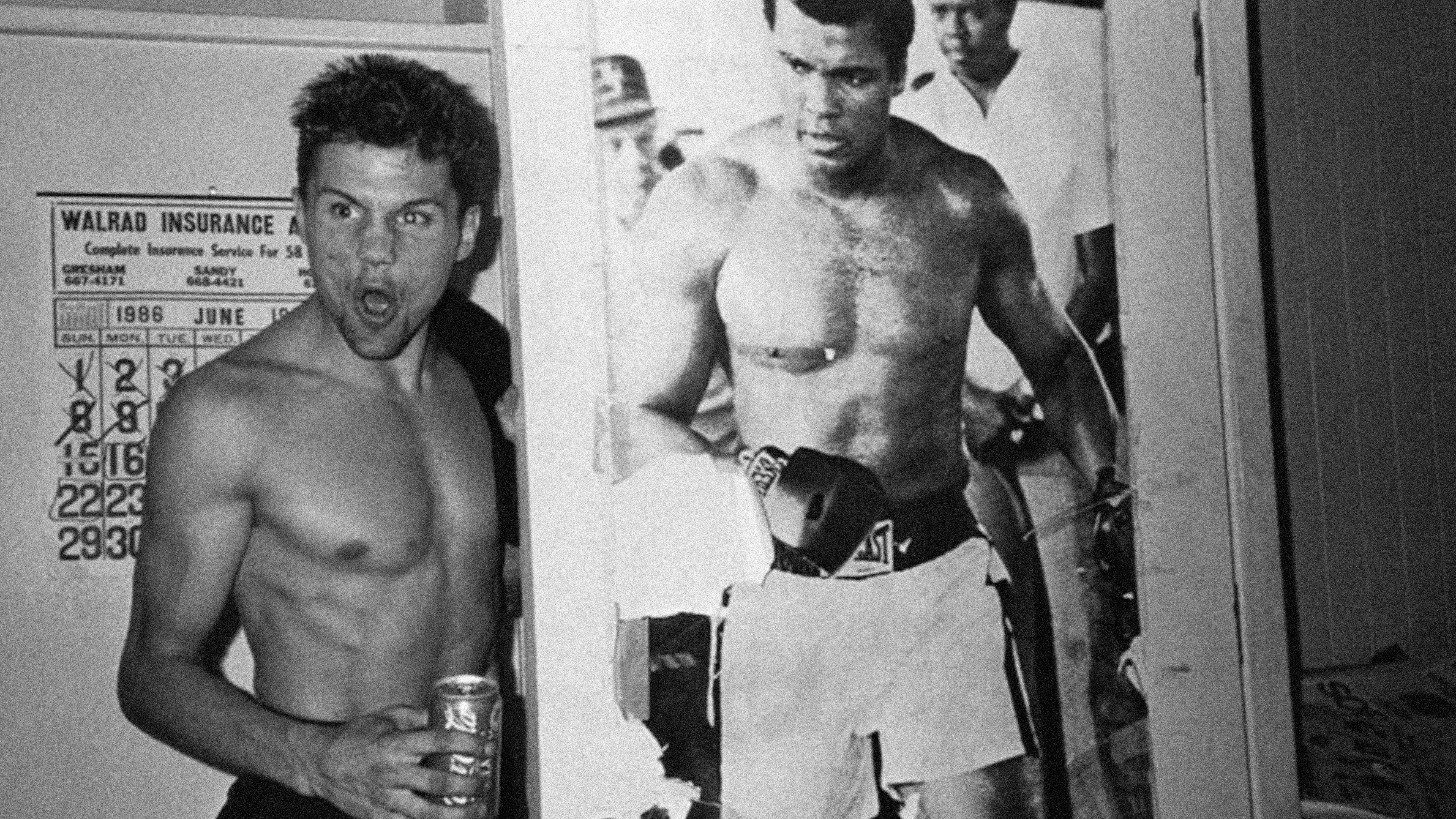 Backdrop for Broken Noses