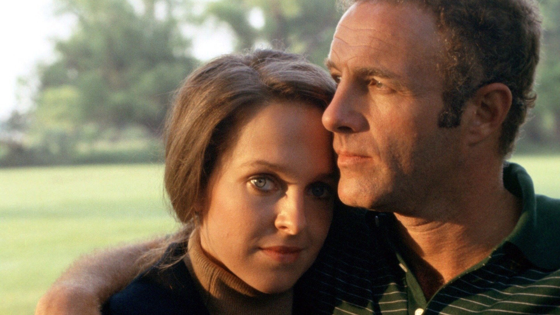 Backdrop for Hide in Plain Sight