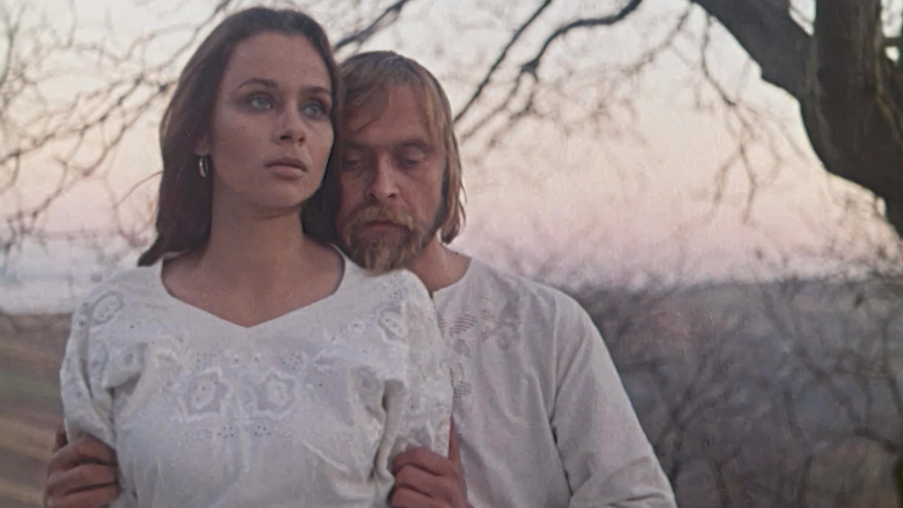 Backdrop for Babylon XX