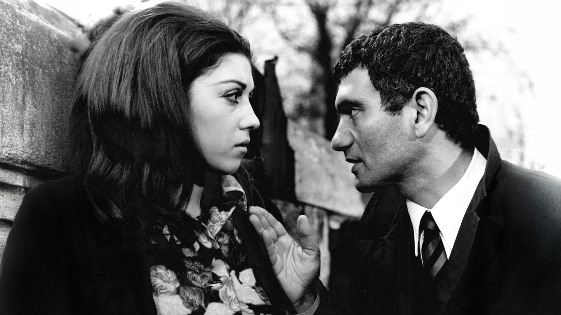 Backdrop for Balatlı Arif