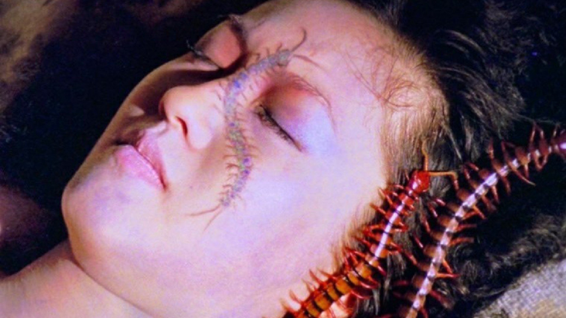 Backdrop for Centipede Horror