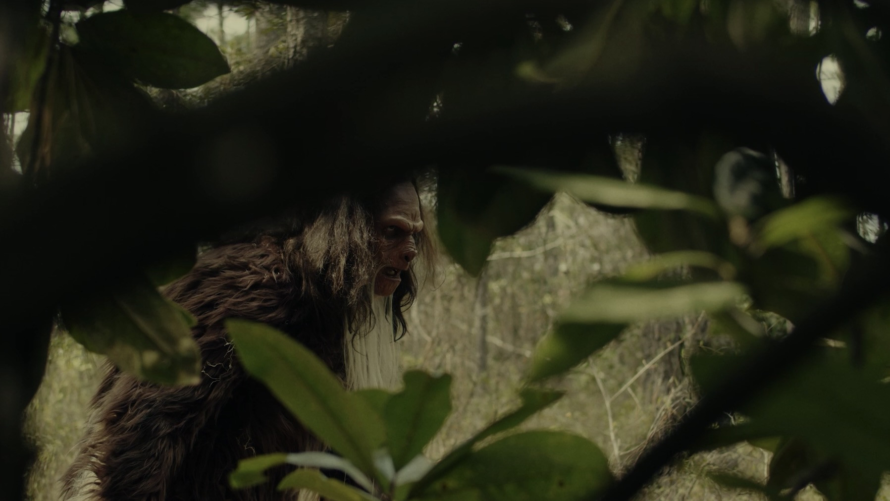 Backdrop for Sighting