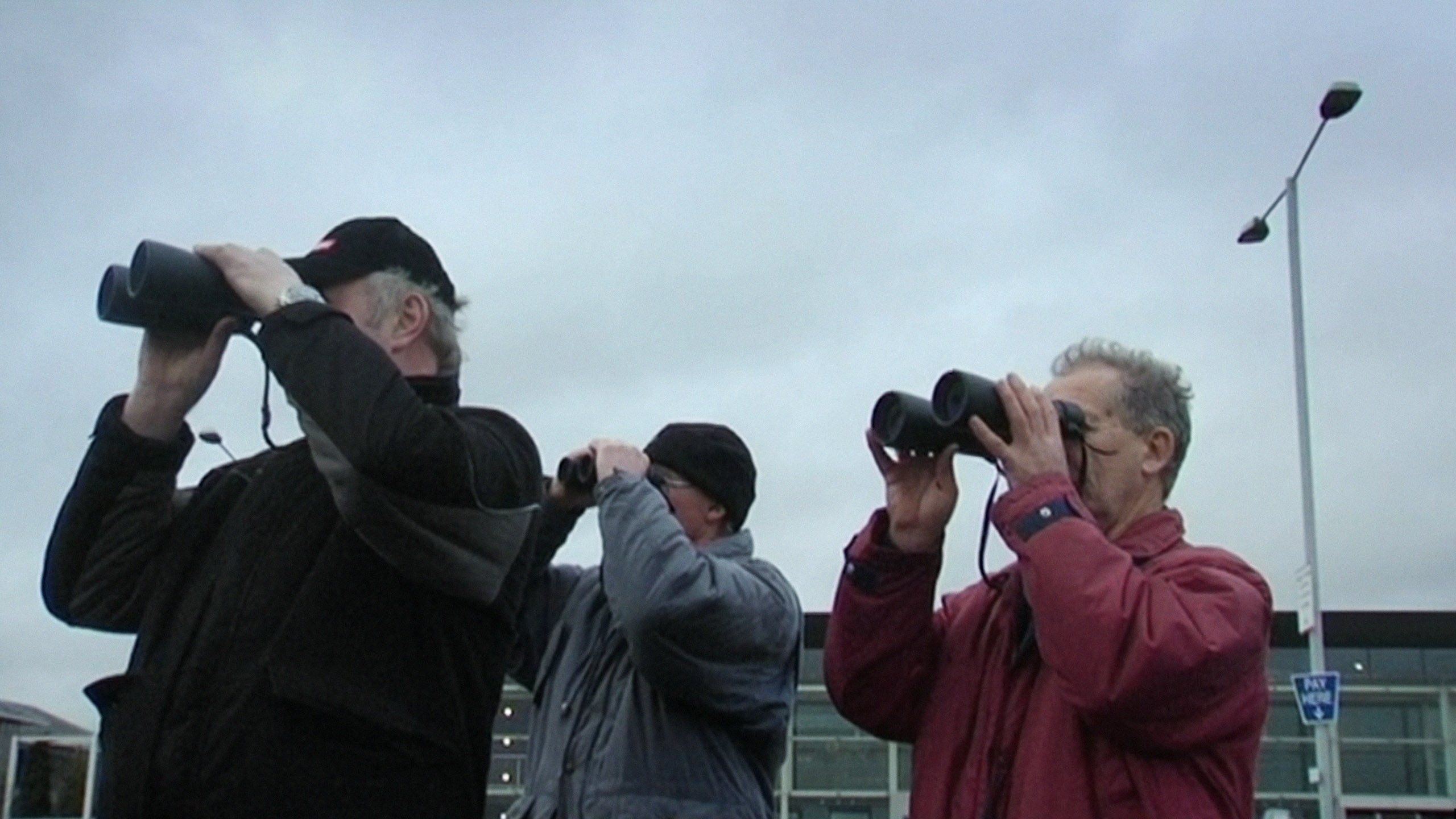 Backdrop for Plane Days