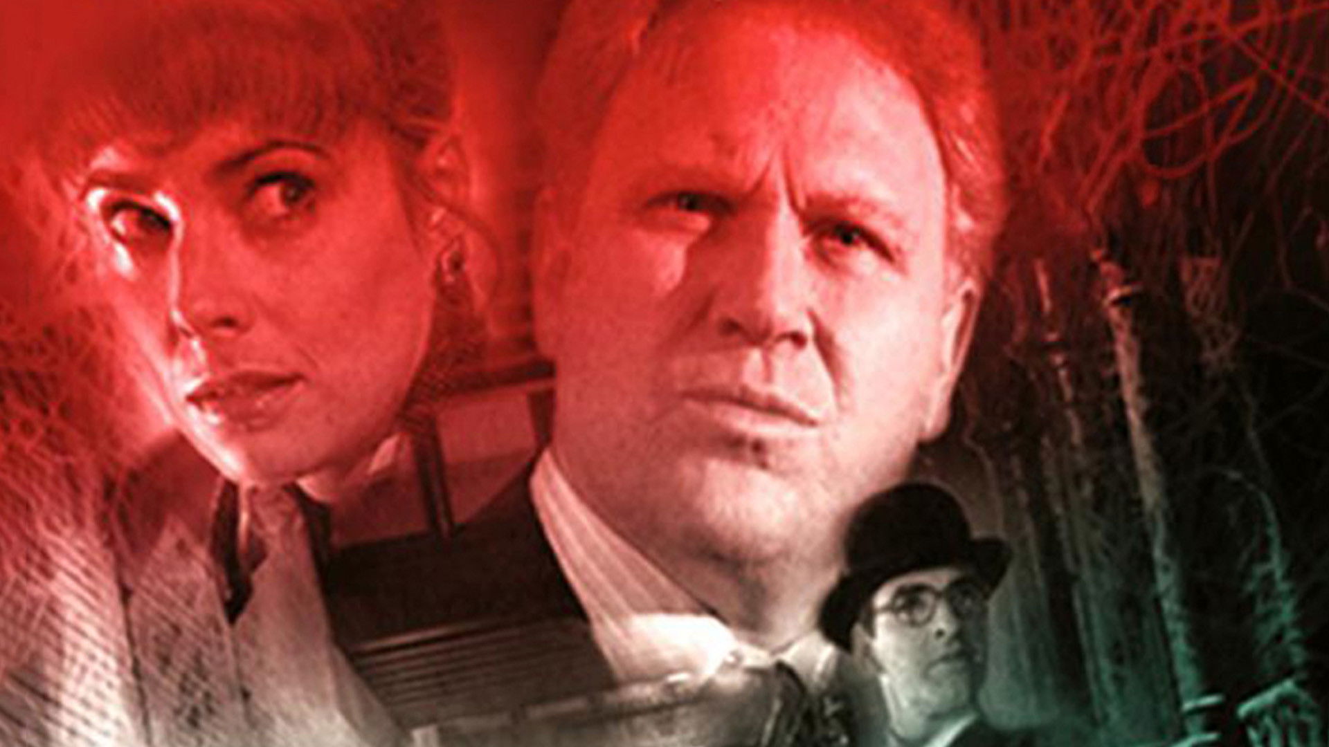 Backdrop for The Stranger: In Memory Alone