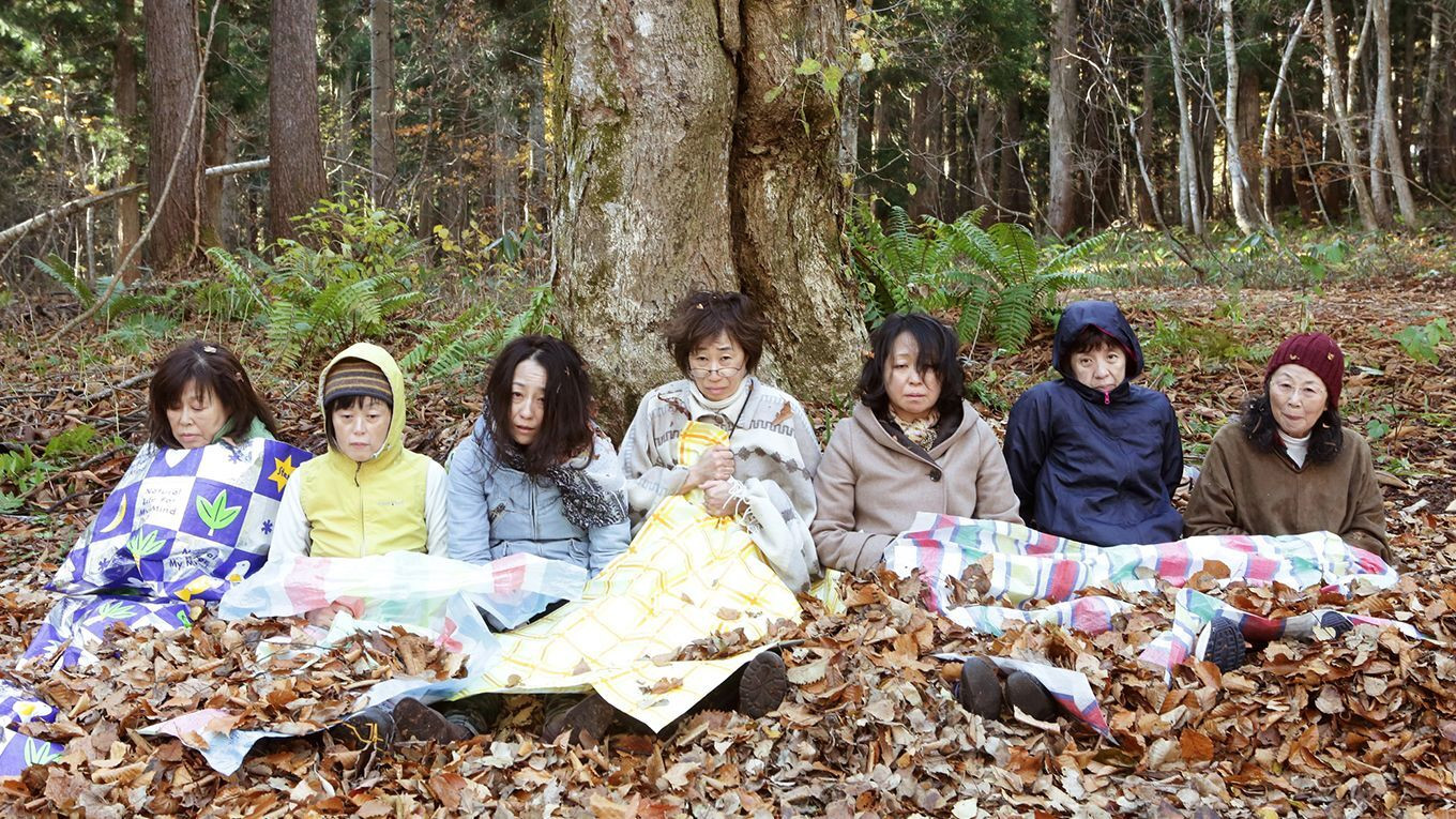 Backdrop for Ecotherapy Getaway Holiday