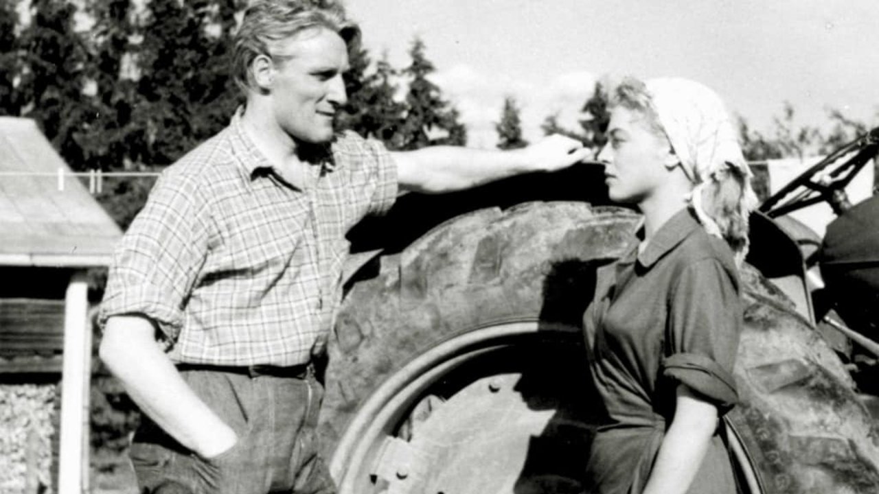 Backdrop for Kukonlaulusta kukonlauluun