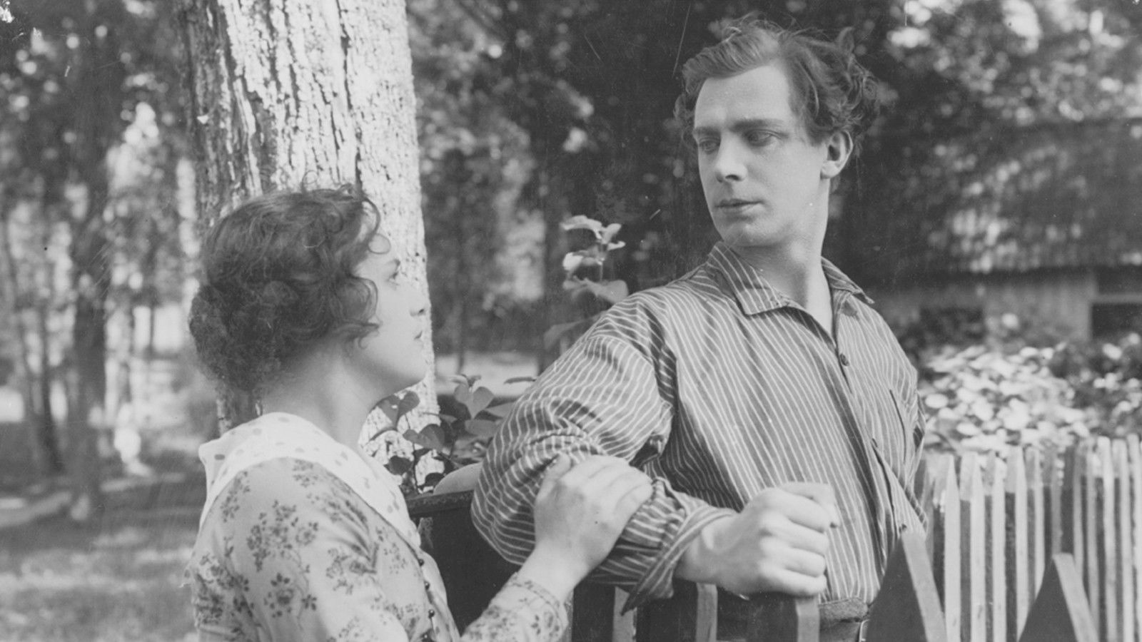 Backdrop for The Ingmar Inheritance