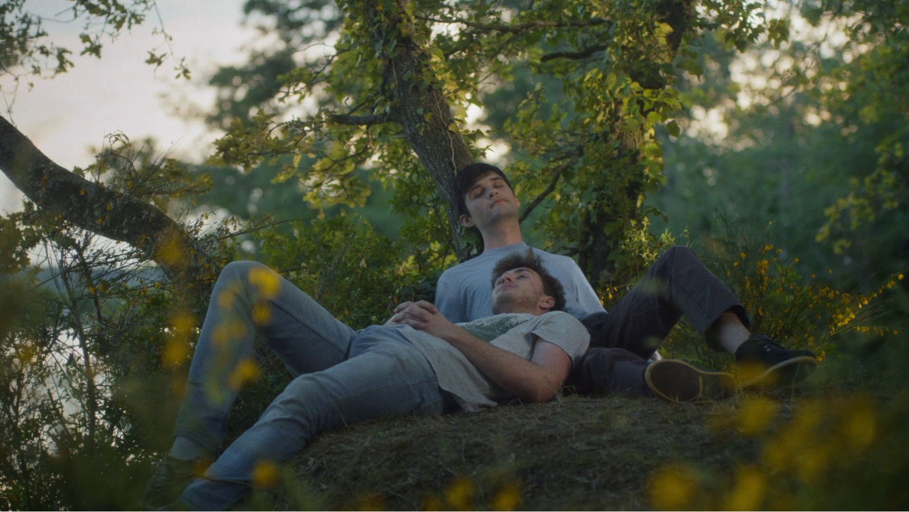 Backdrop for The Extravagant Illnesses