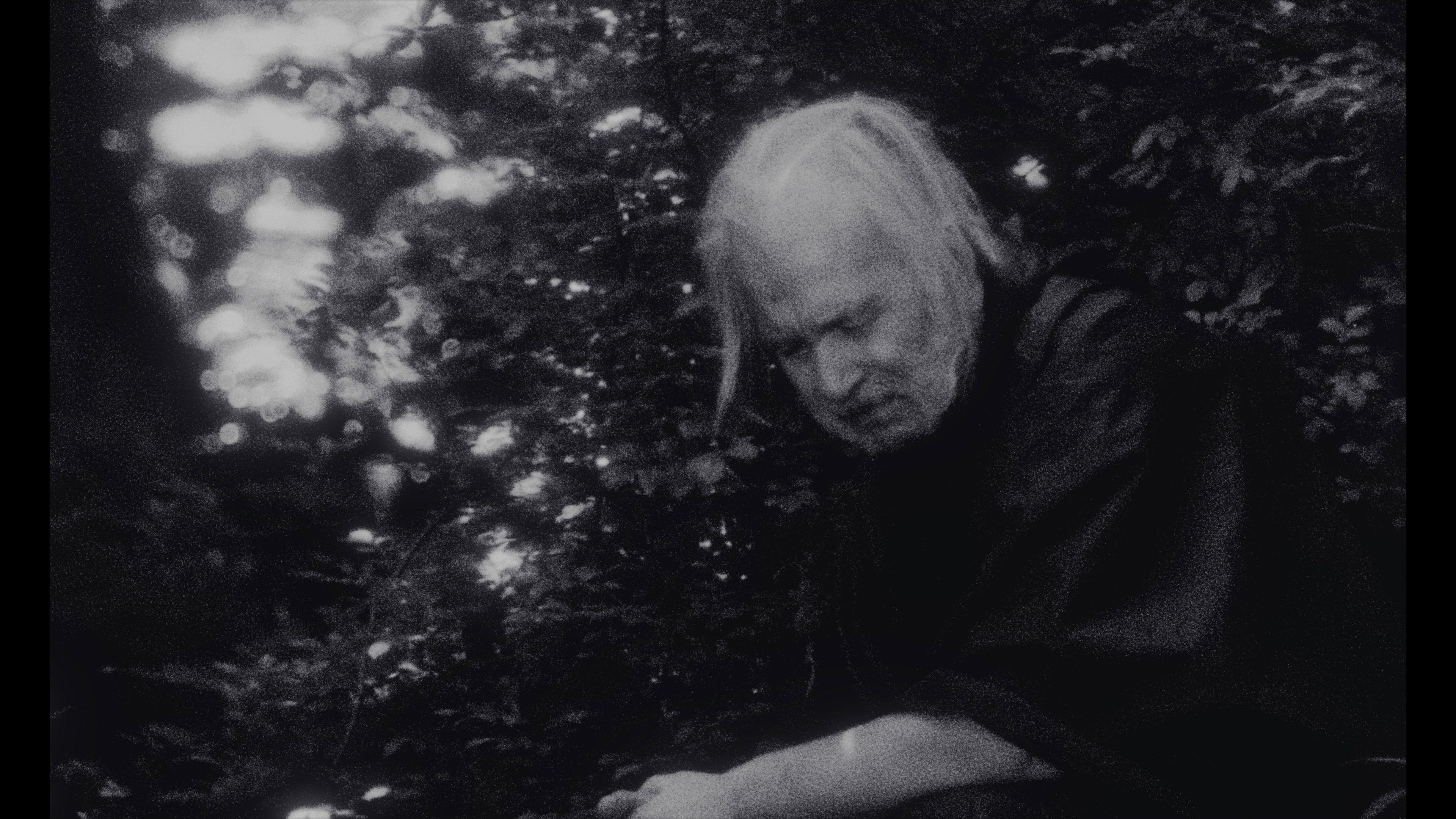 Backdrop for Passenger Jet