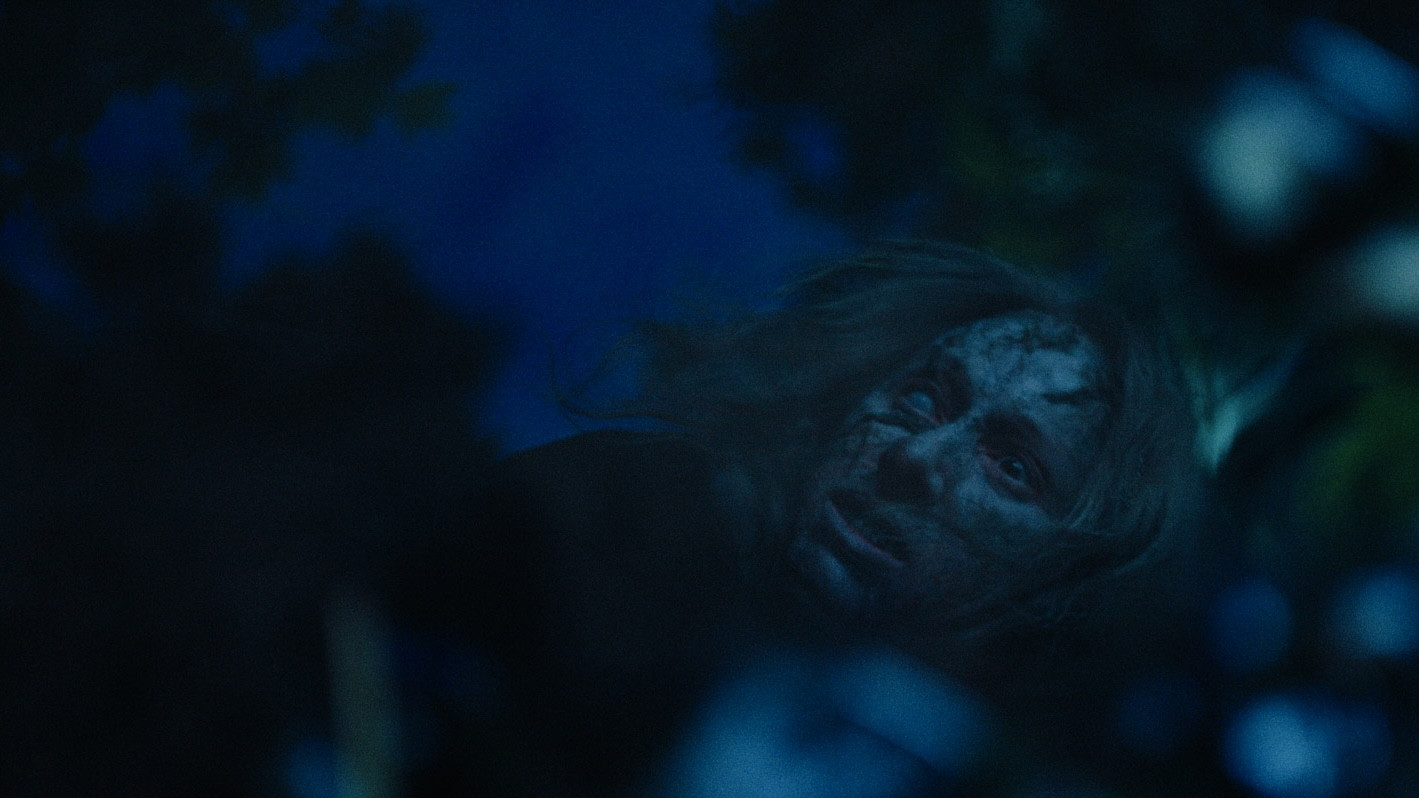 Backdrop for Wilderness