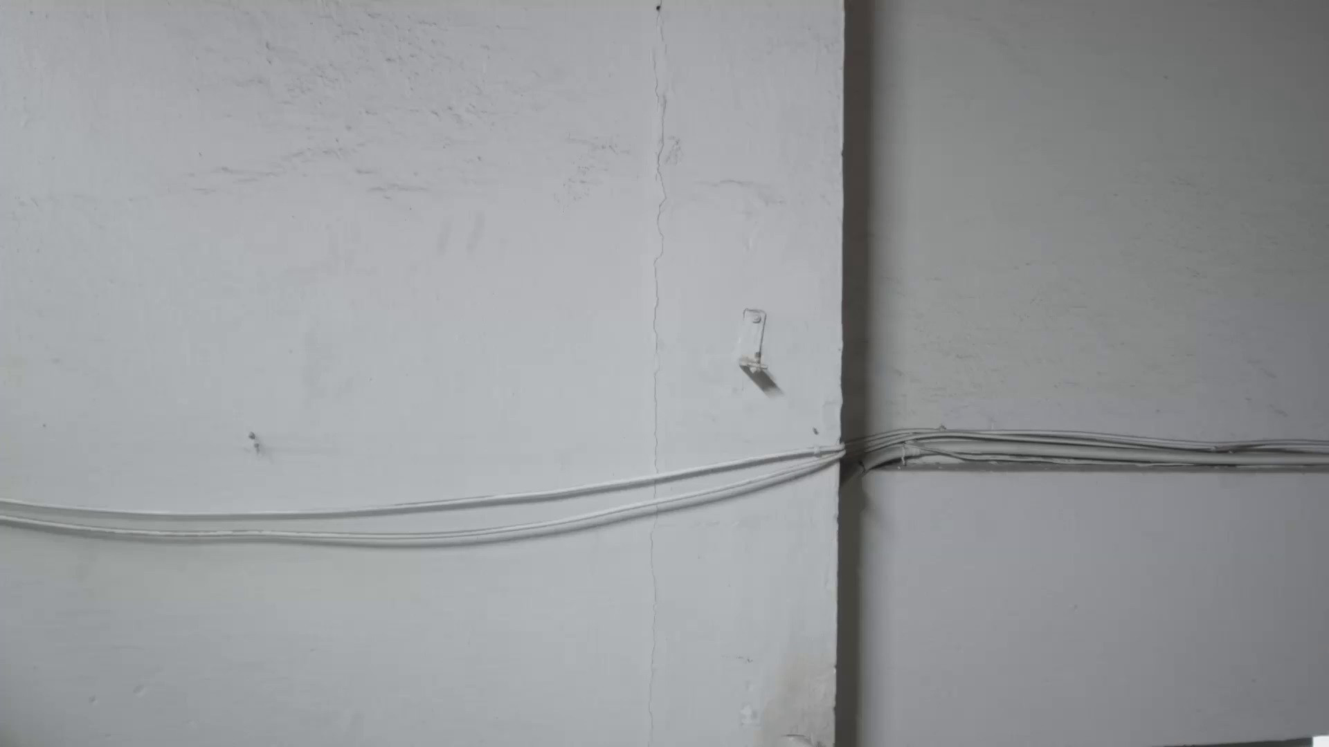 Backdrop for ela viu aranhas