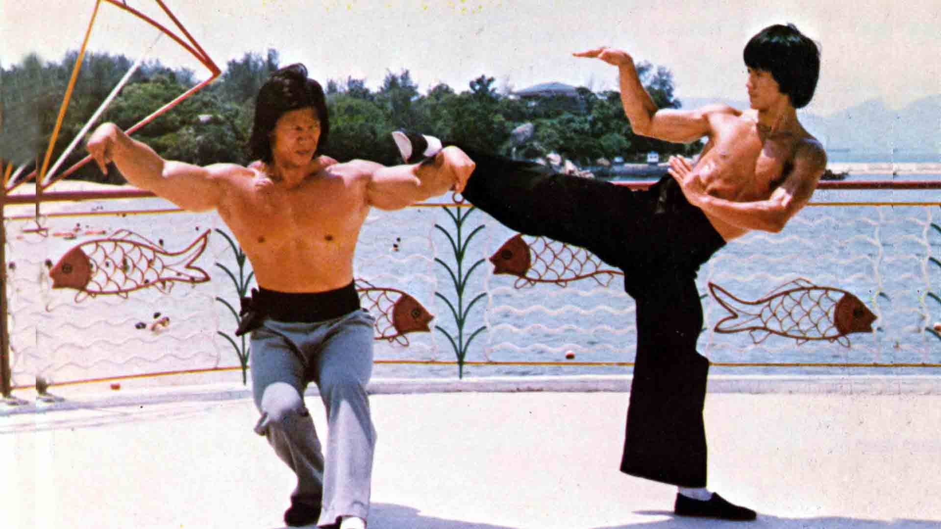Backdrop for Bruce, King of Kung Fu