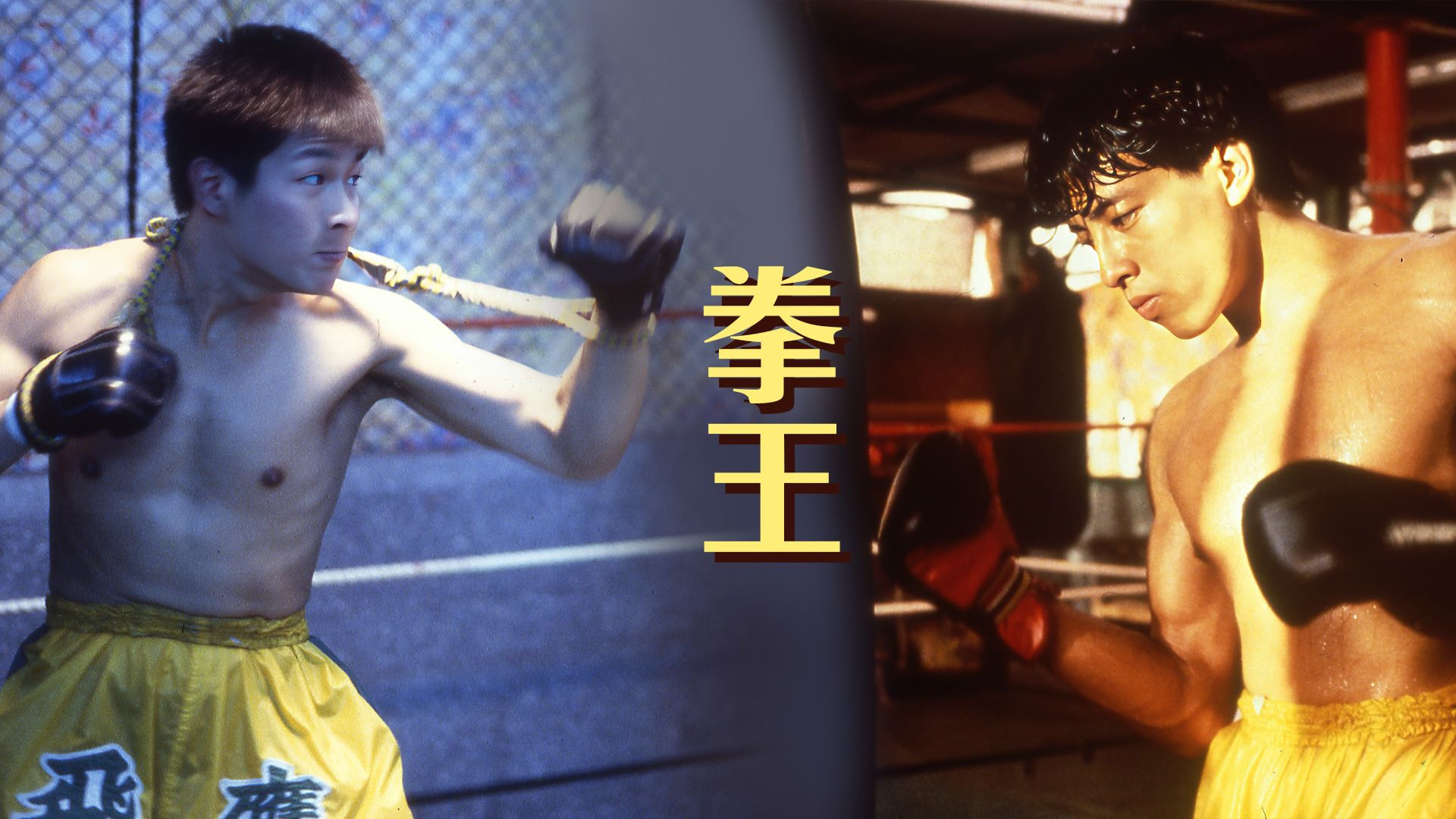 Backdrop for Dreams of Glory, A Boxer's Story