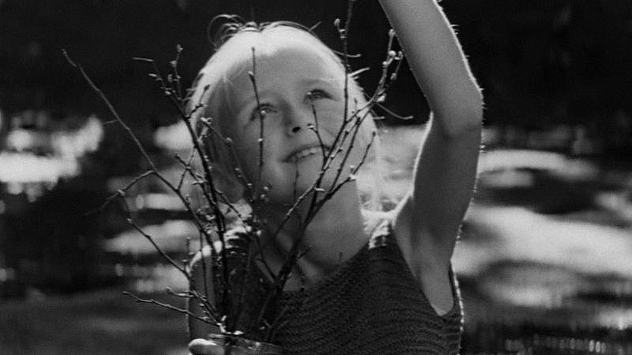 Backdrop for The Beauty