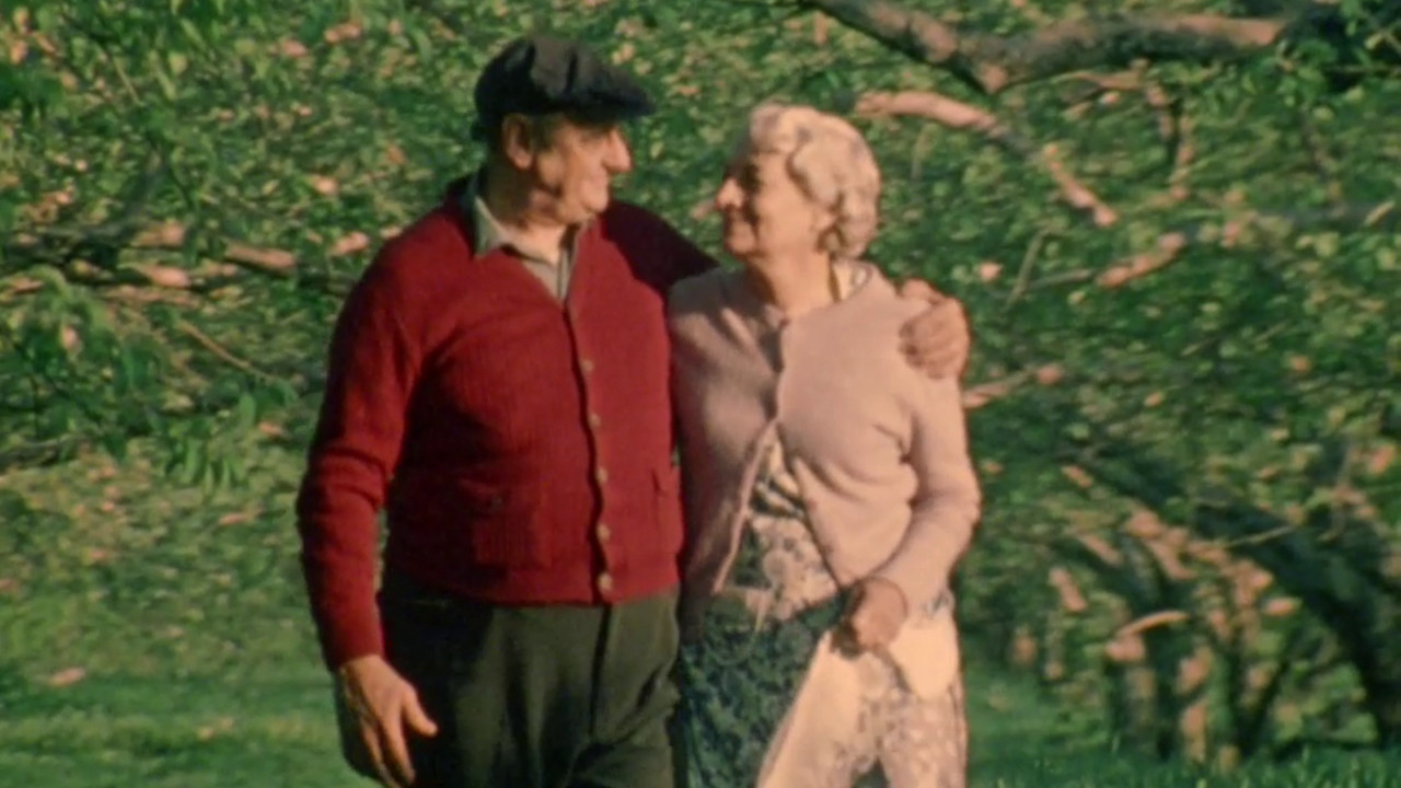 Backdrop for The Last Betrothal