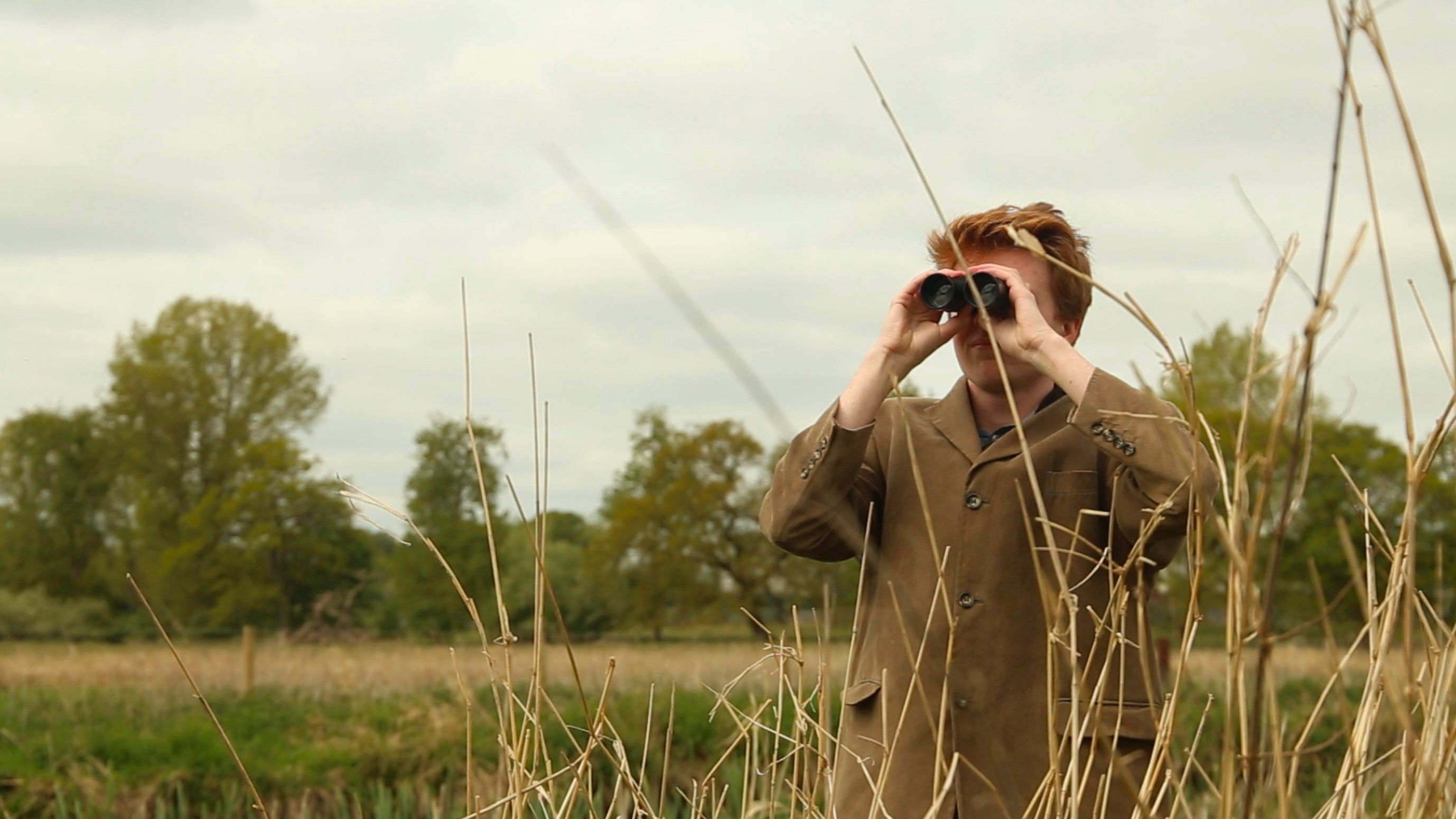 Backdrop for Beans on Toast