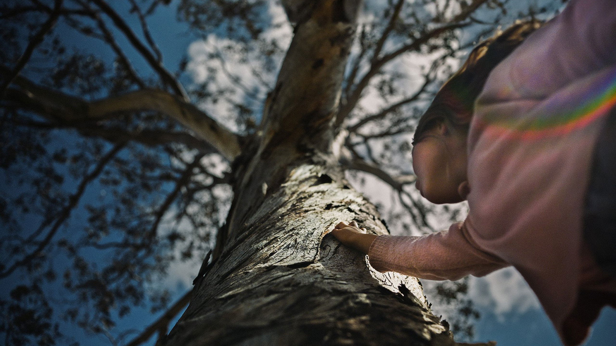 Backdrop for The Skeleton Tree