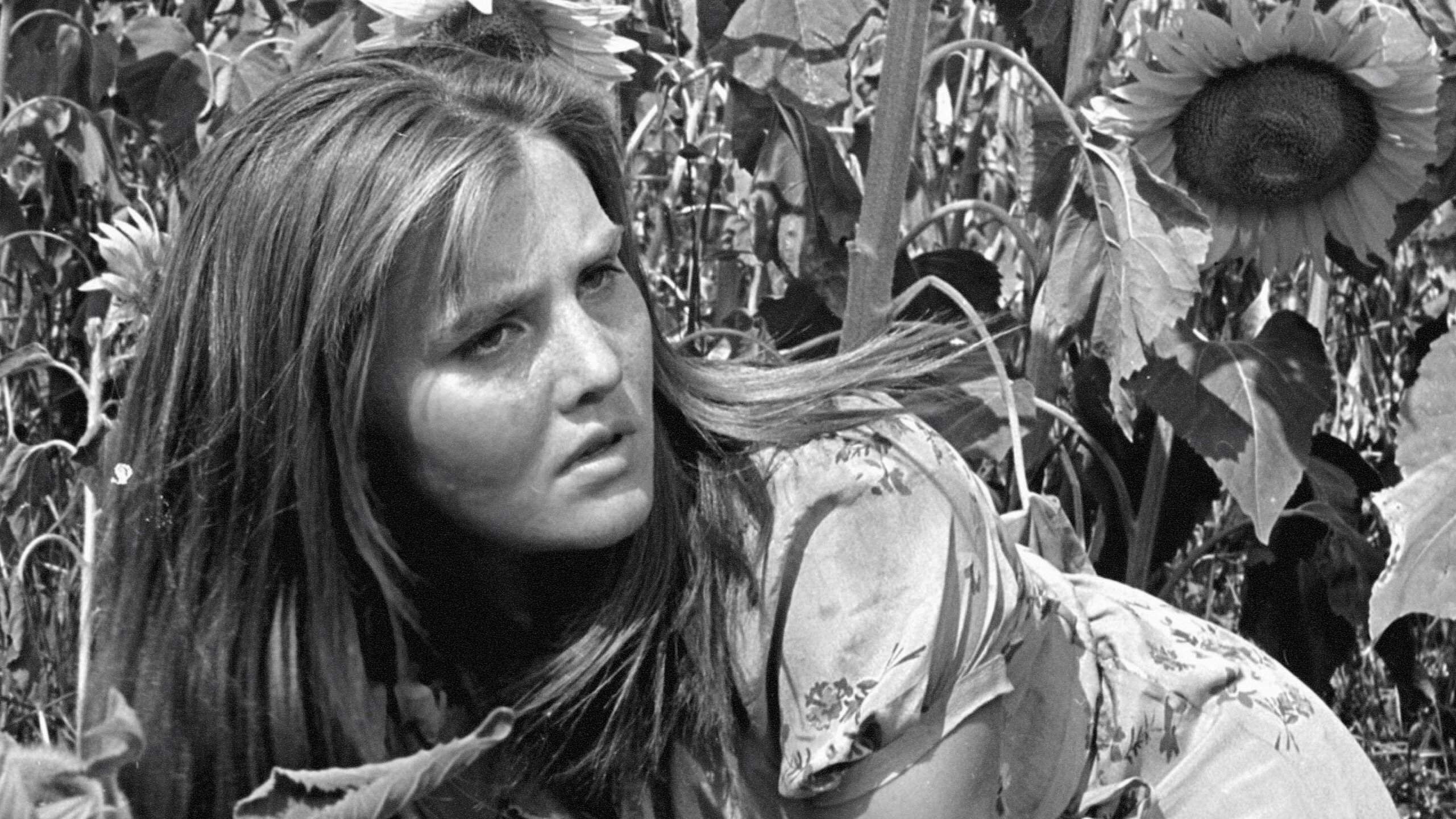 Backdrop for Attack and Retreat