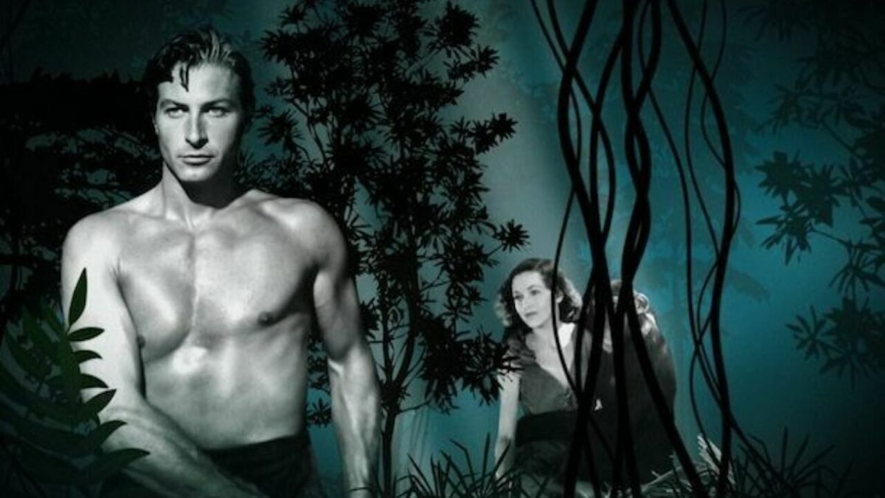Backdrop for Tarzan Revisited