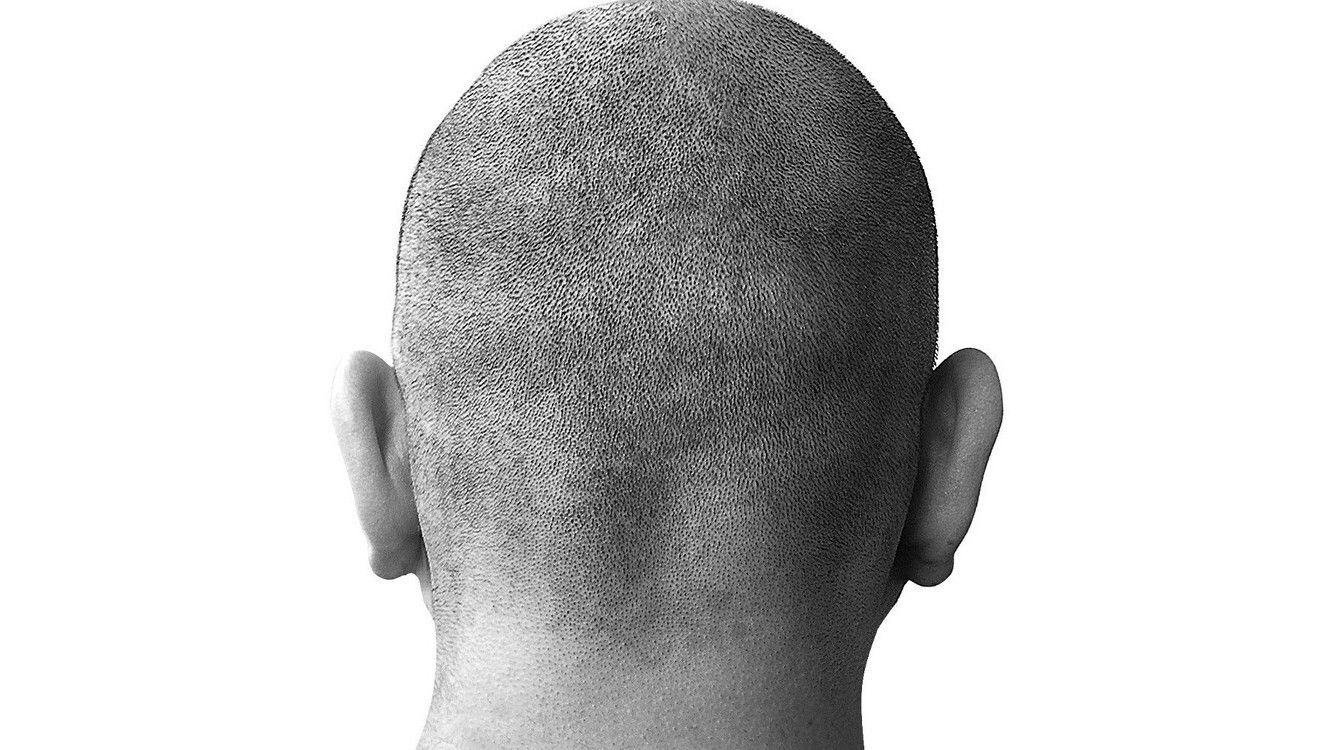 Backdrop for Oi! Warning