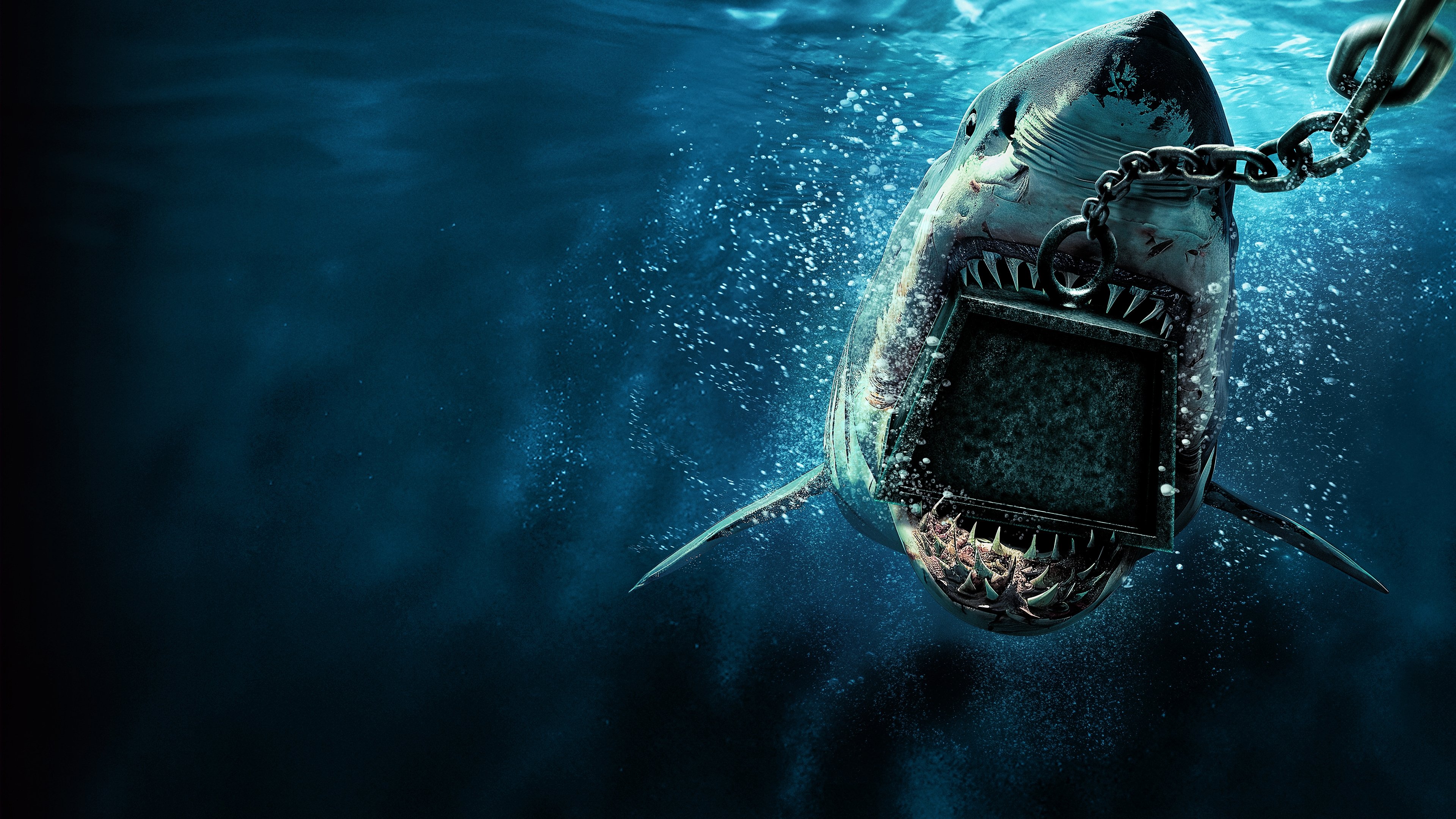 Backdrop for 6000-LB. Shark