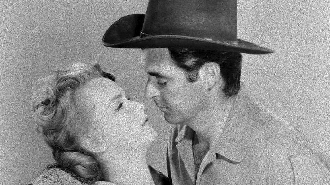 Backdrop for The Hired Gun