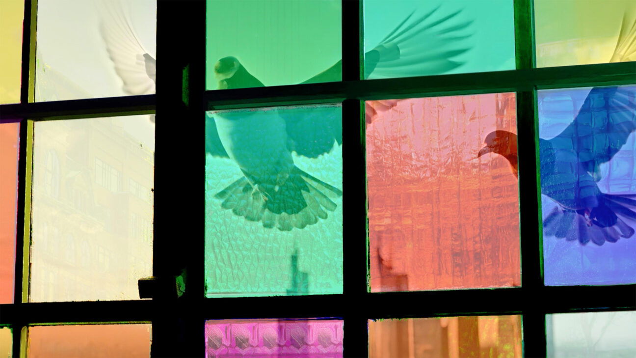 Backdrop for Gerhard