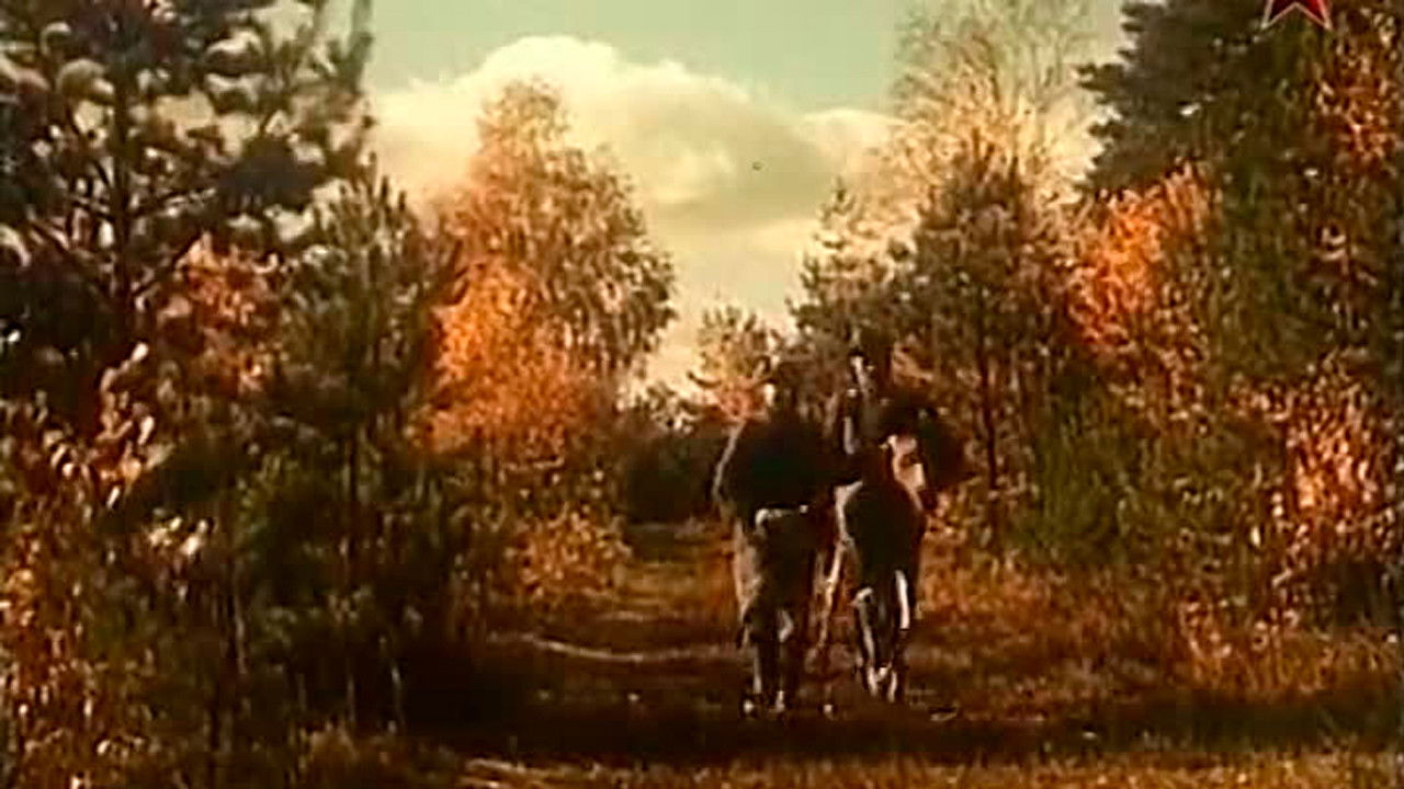 Backdrop for A Tale of the Forest Giant