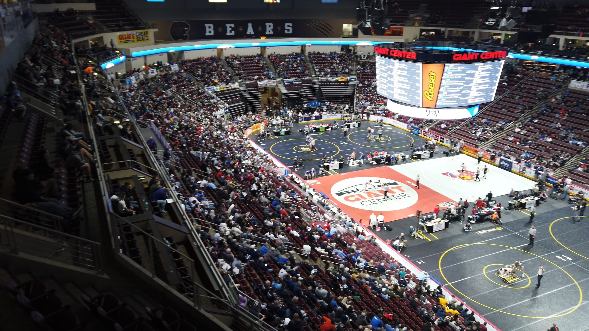 Backdrop for Iron Maidens: Wrestling for Glory