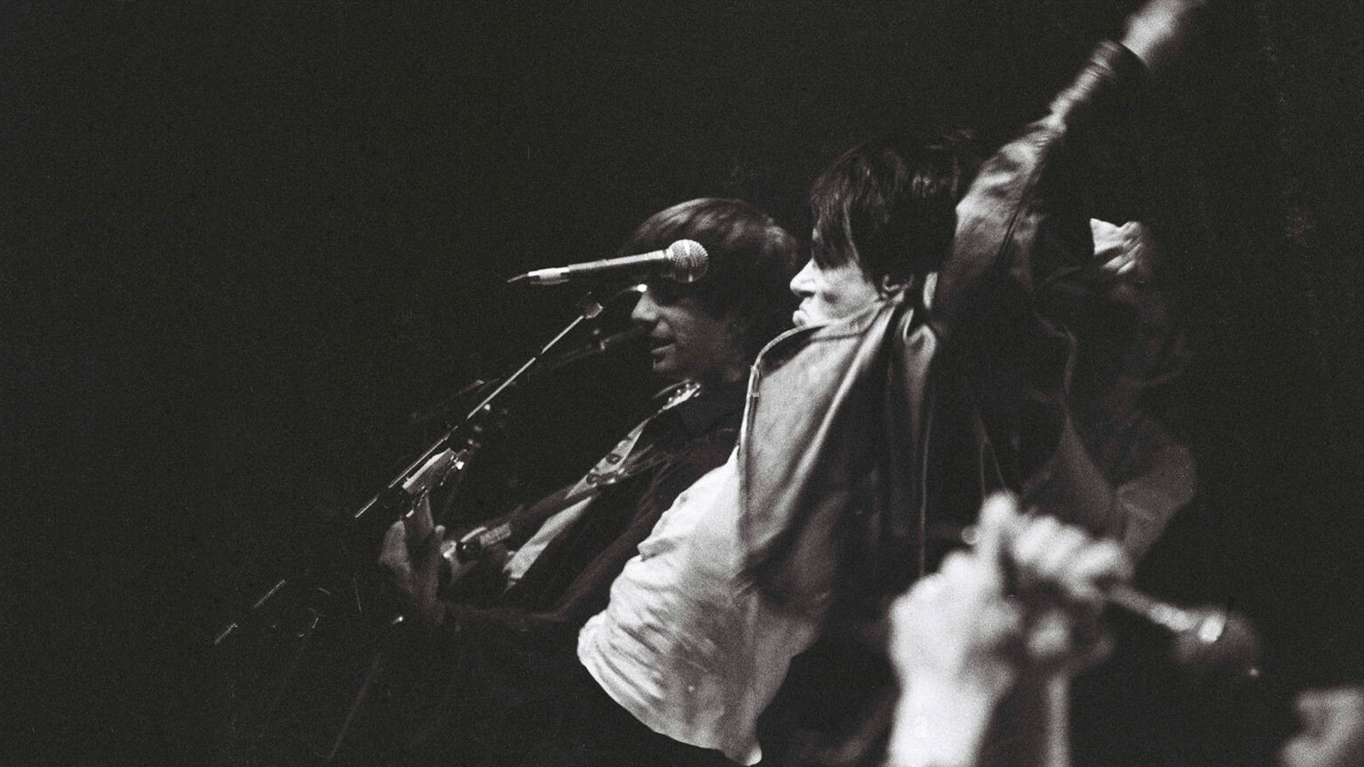 Backdrop for Sonic Youth: Screaming Fields of Sonic Love