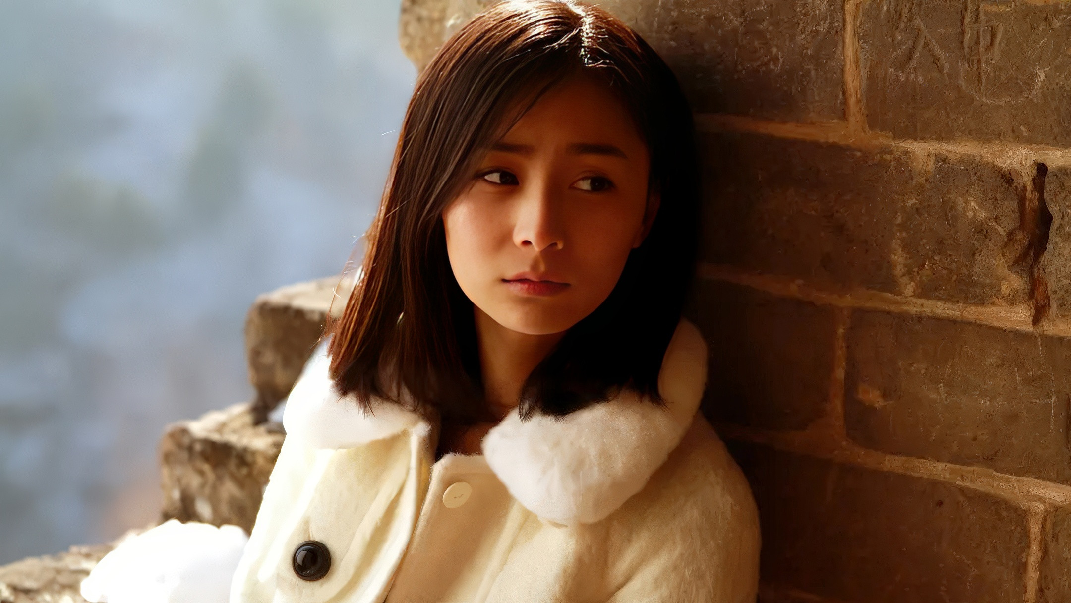 Backdrop for 野长城