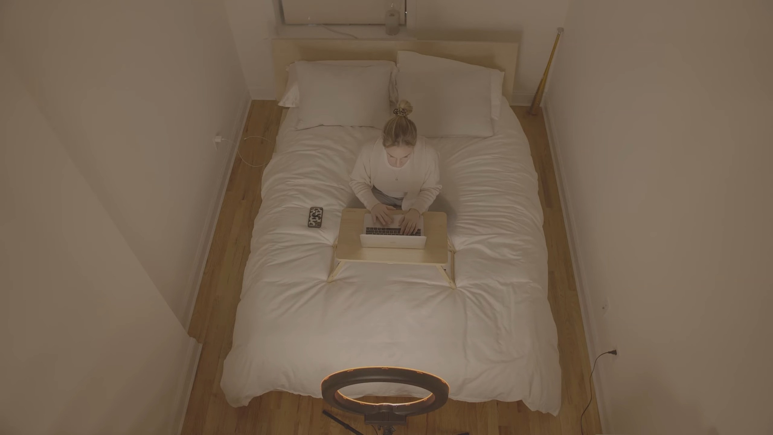 Backdrop for Capricorn 29