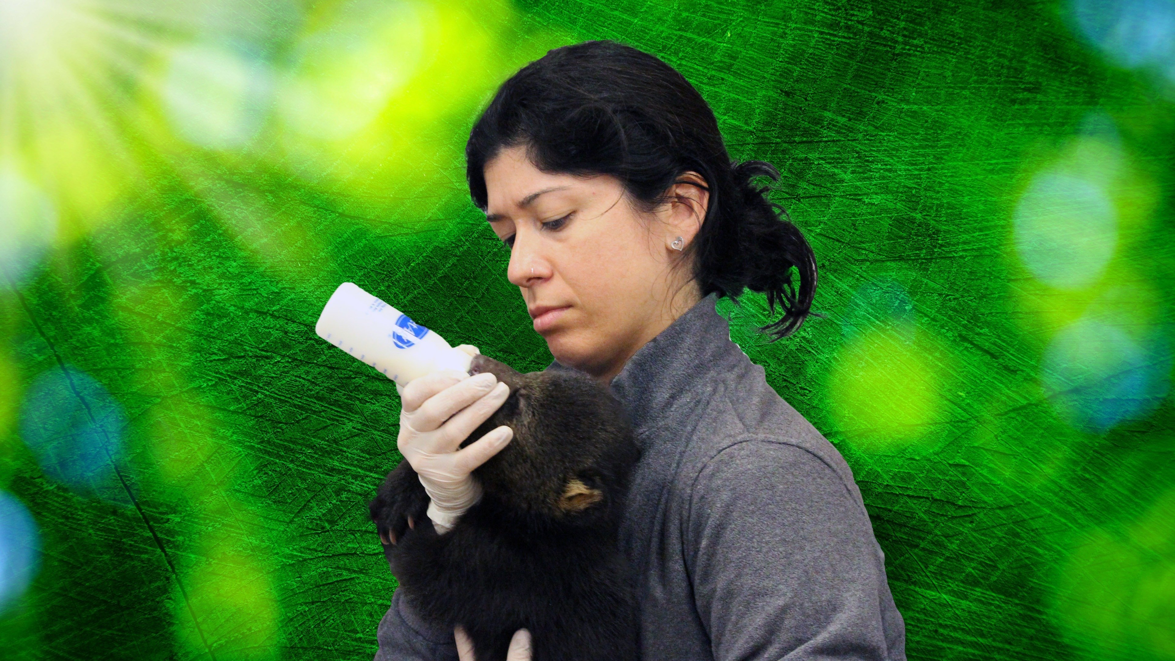 Backdrop for Secrets of the Zoo: Tampa