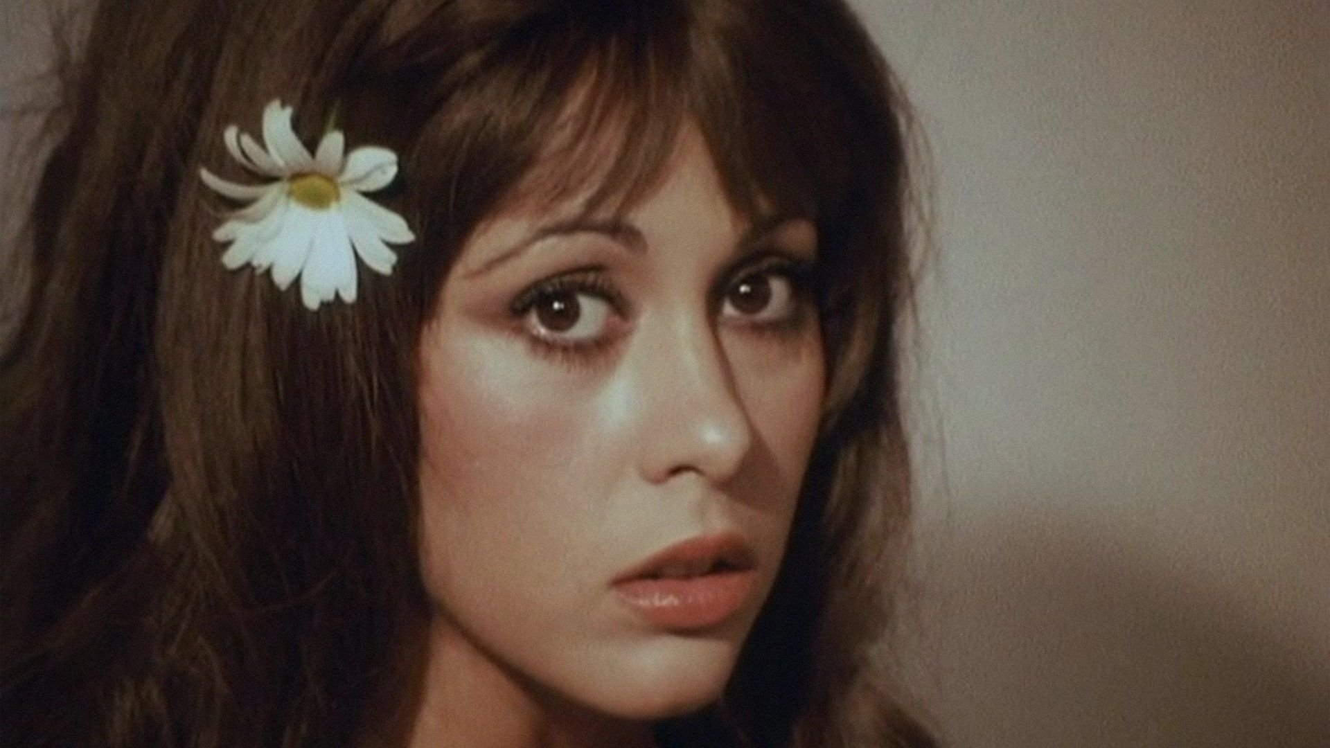 Backdrop for Sinner: The Secret Diary of a Nymphomaniac