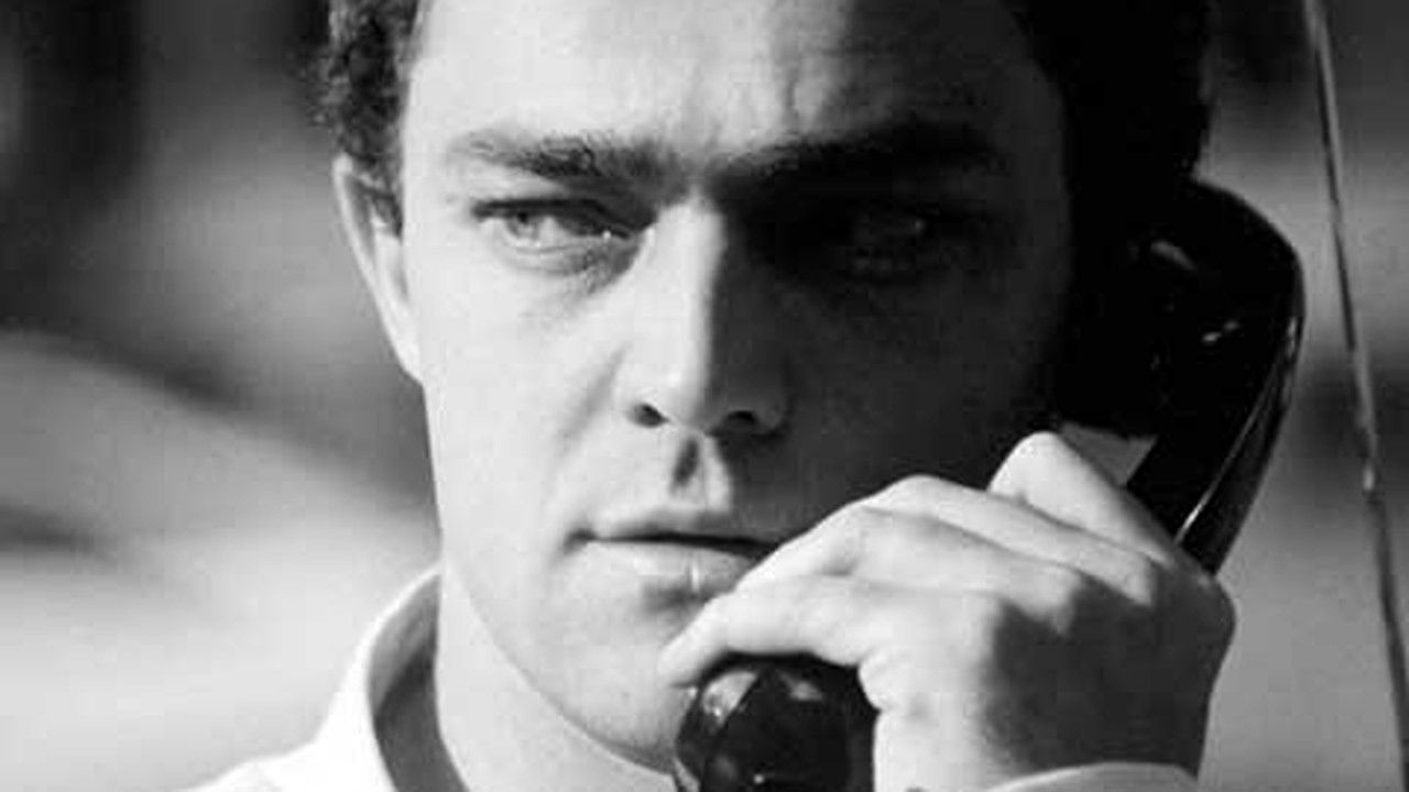 Backdrop for Palindrome