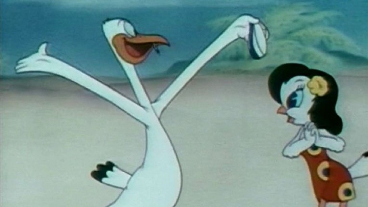 Backdrop for Aloha Hooey