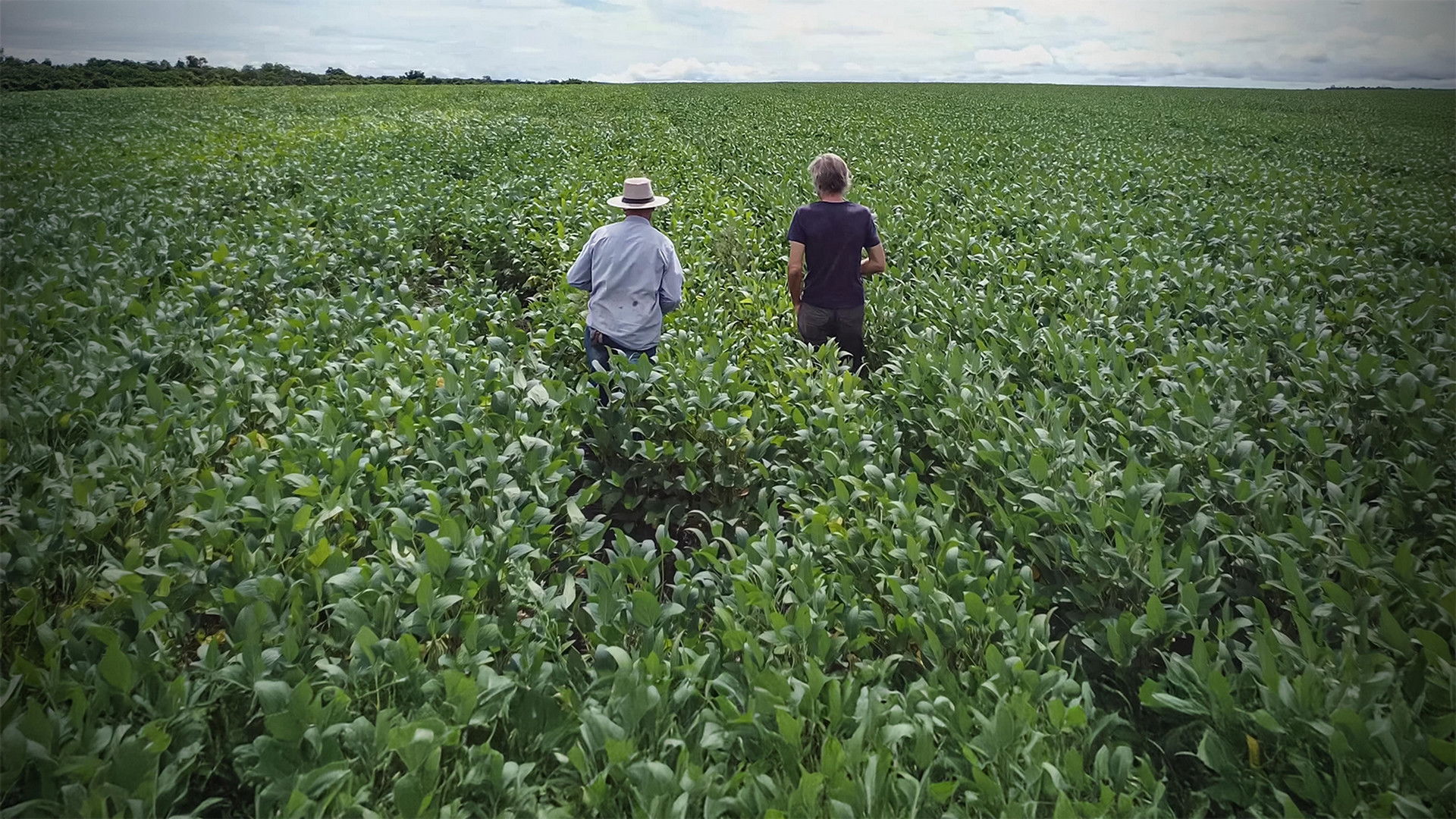 Backdrop for C'est pour demain