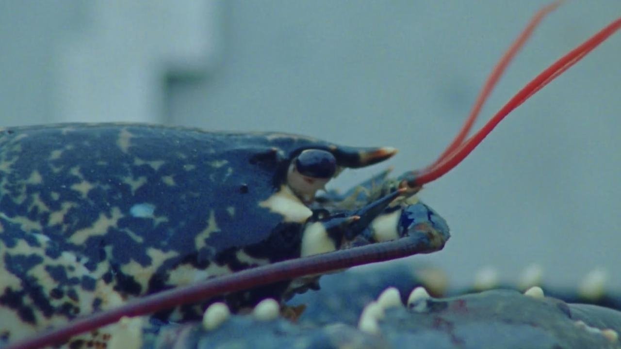 Backdrop for Godspeed