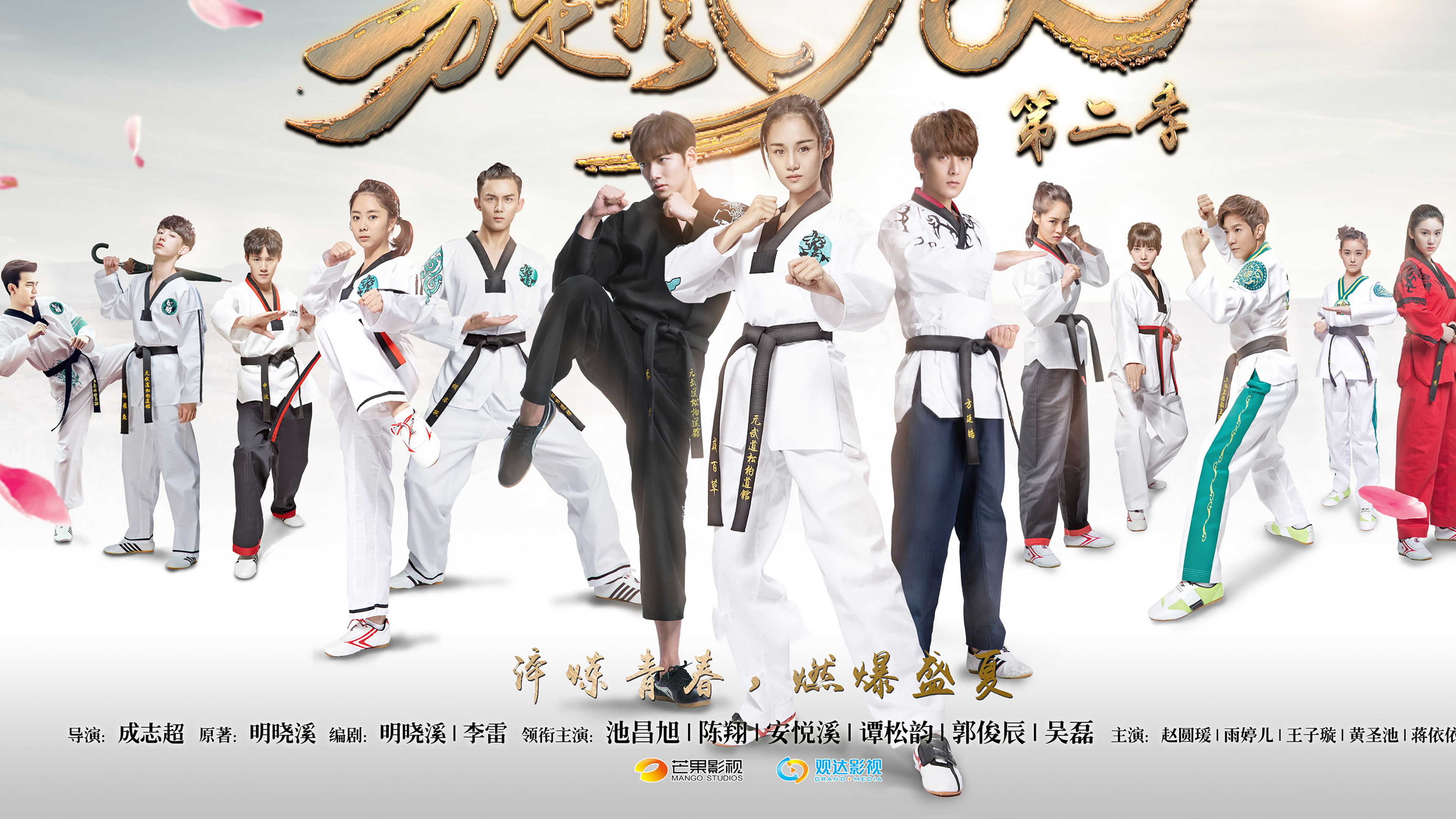 Backdrop for 旋风少女2