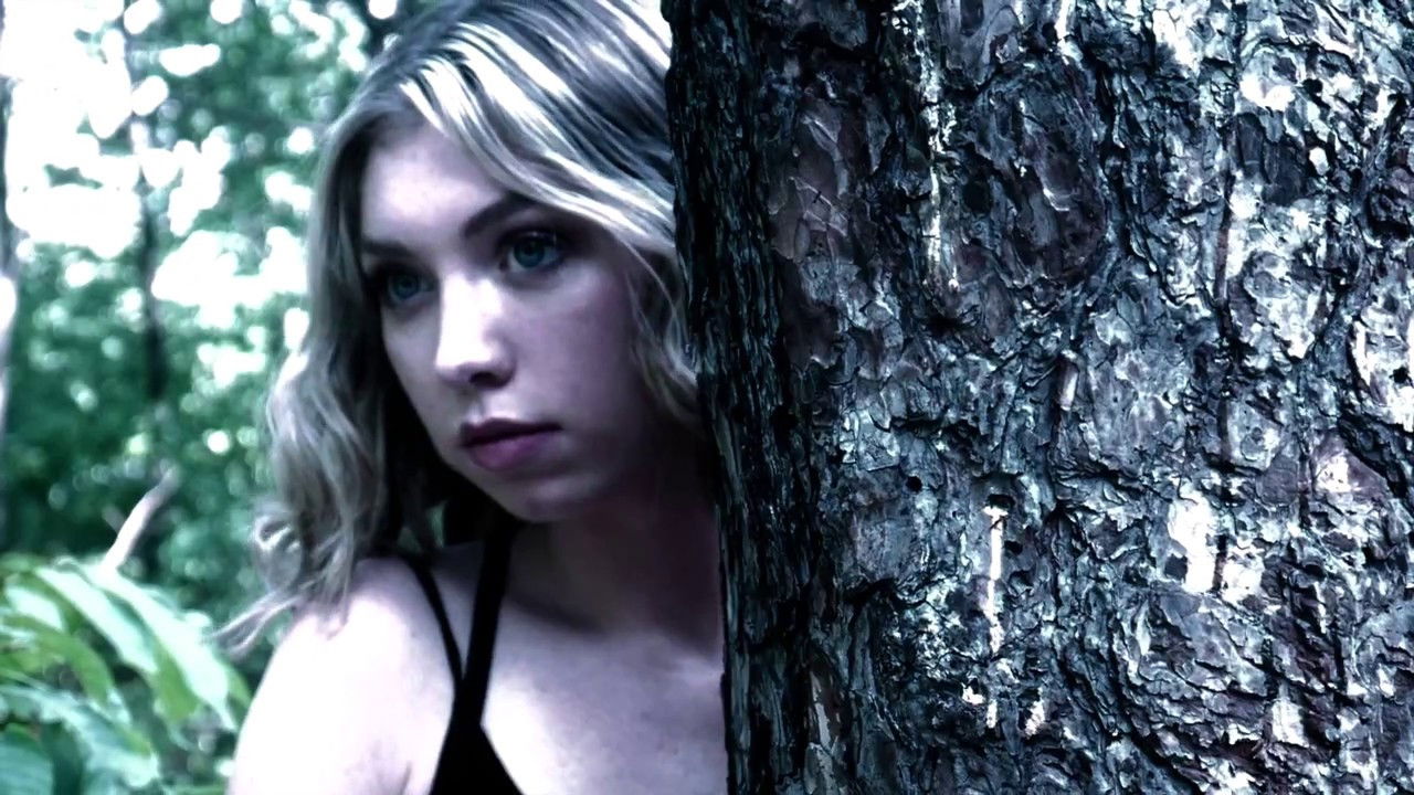 Backdrop for North Woods