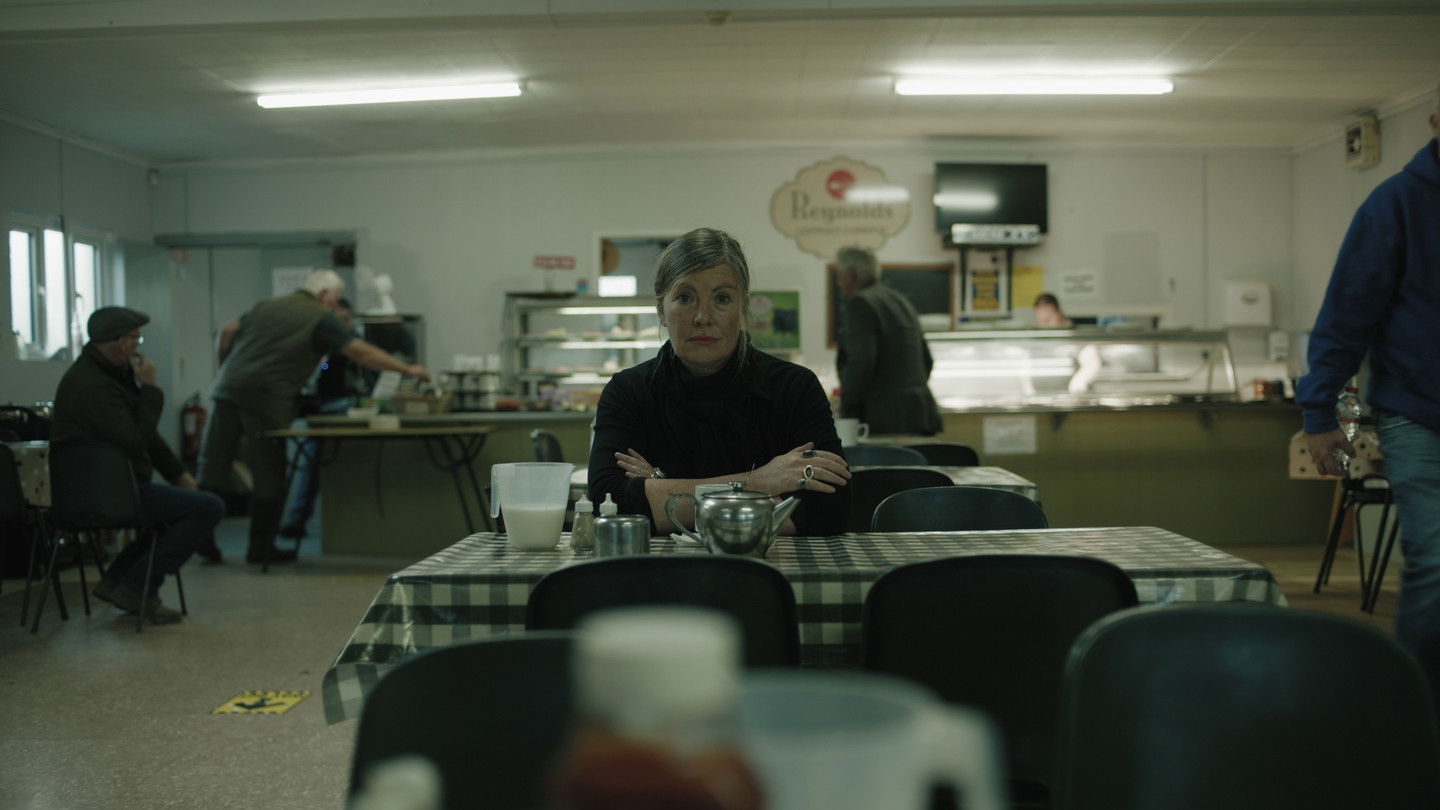 Backdrop for Notes from Sheepland