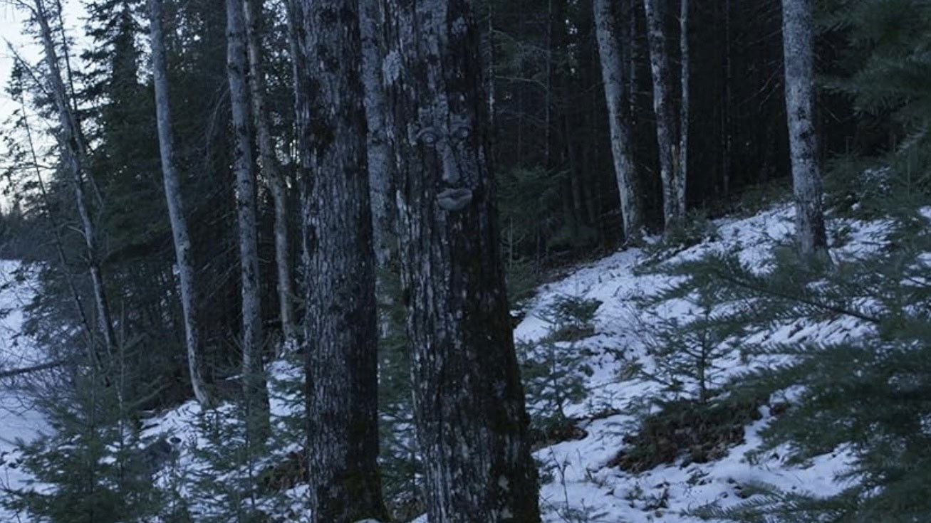 Backdrop for Don't Leave Yet