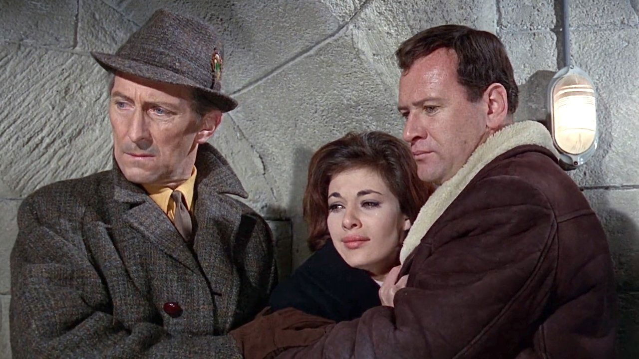 Backdrop for Island of Terror