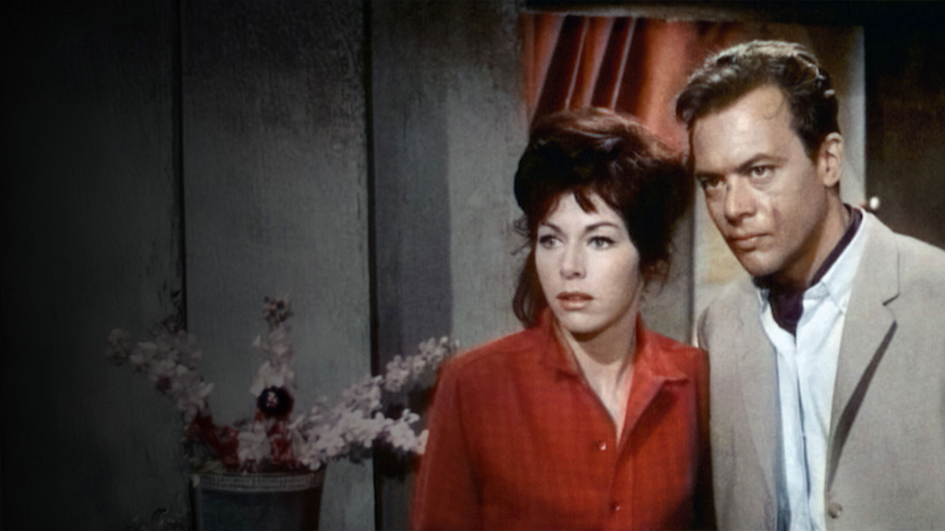 Backdrop for Hong Kong Hot Harbor