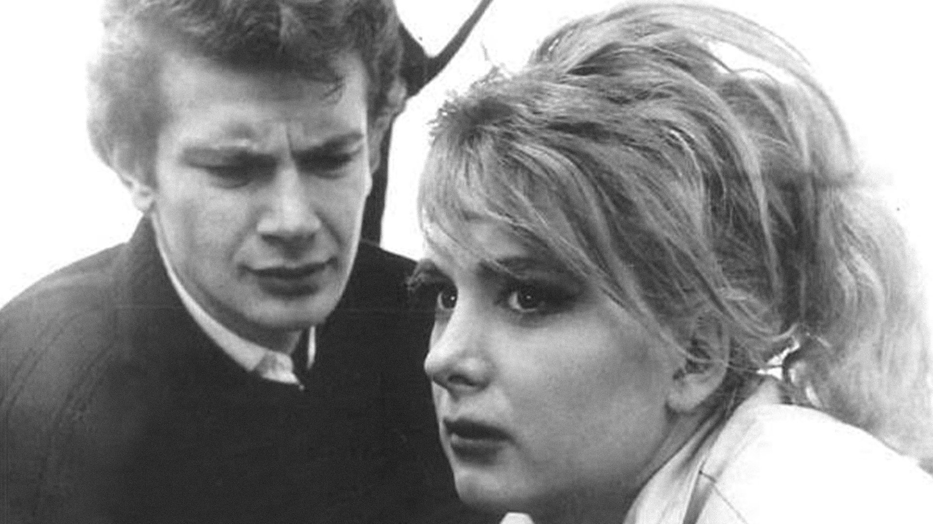 Backdrop for Şoför Nebahat ve Kızı