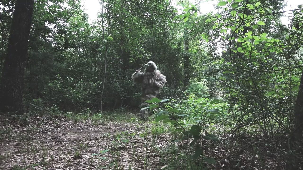 Backdrop for The Mountain Stalker