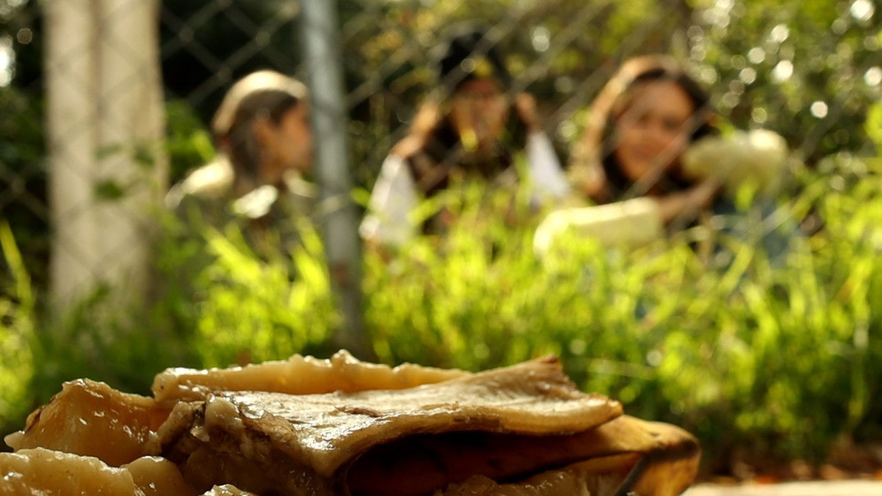 Backdrop for Always April, Always