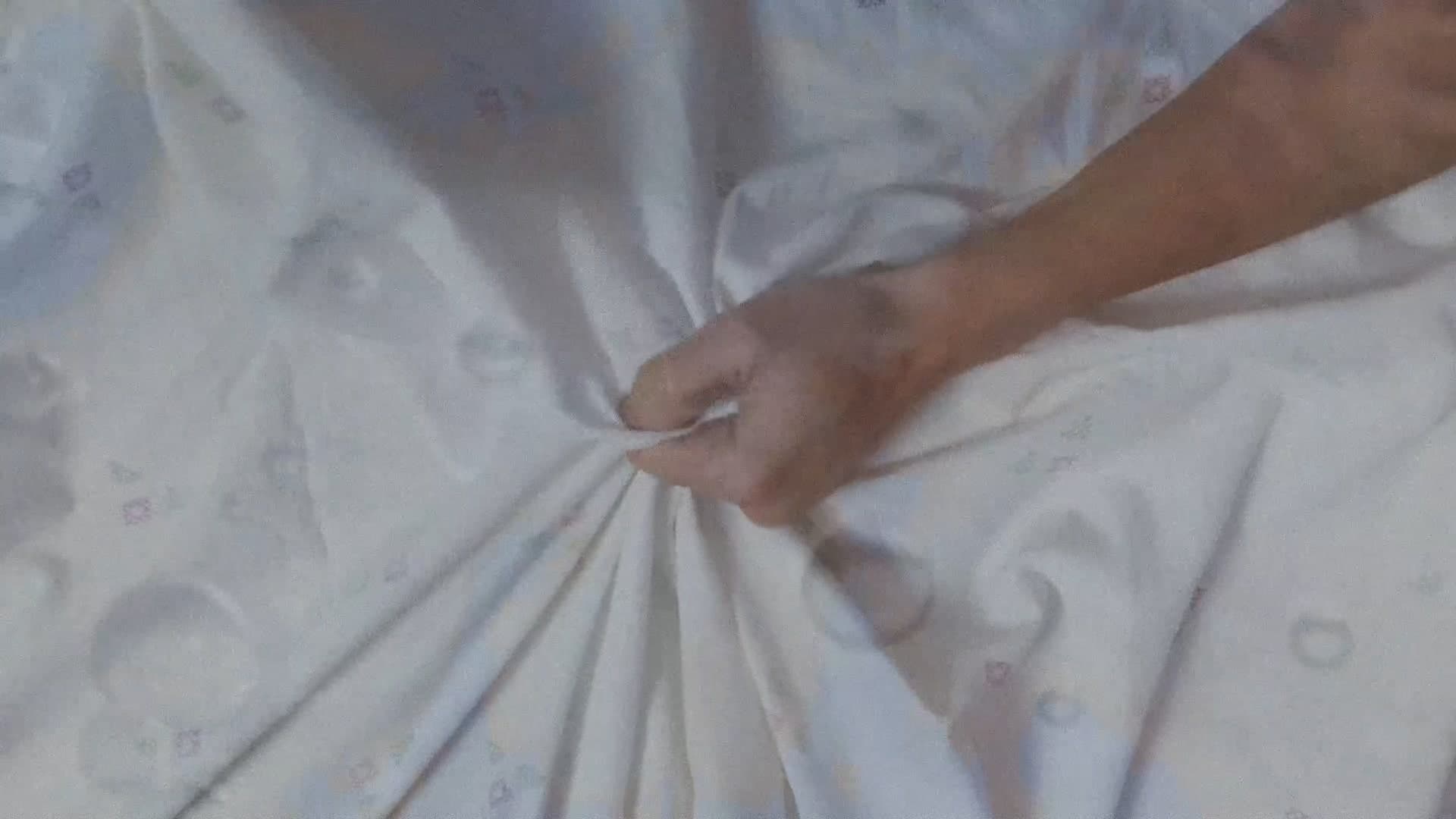 Backdrop for An Andalusian Bitch