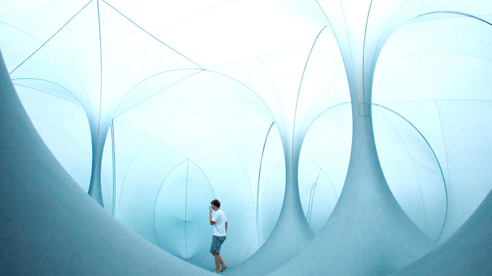 Backdrop for The Reason I Jump